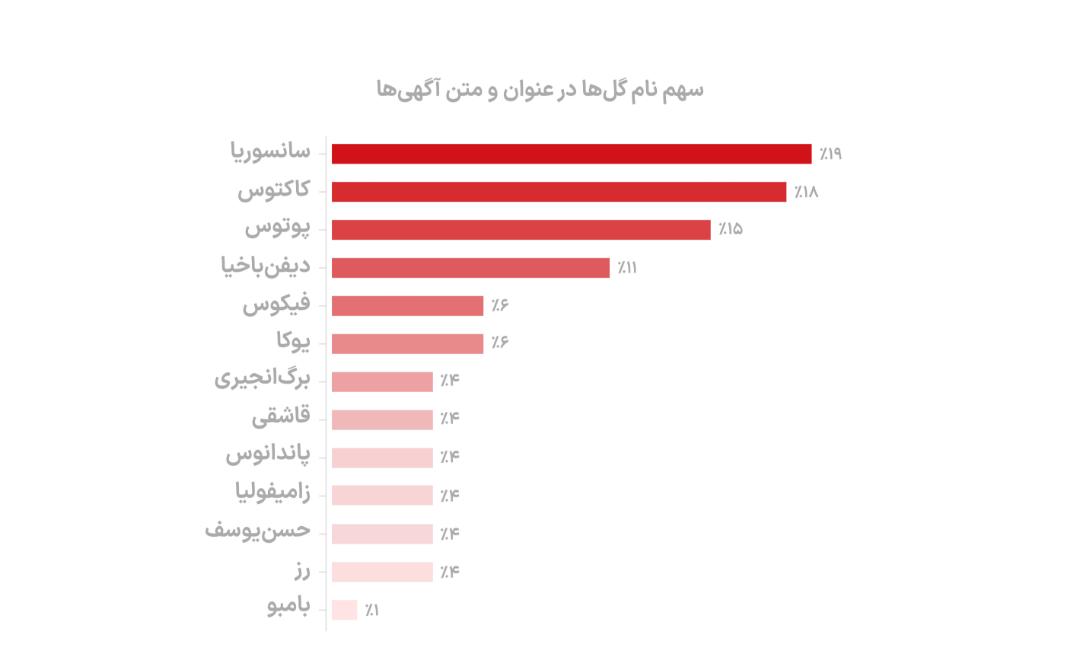 گیاهان محبوب در دیوار