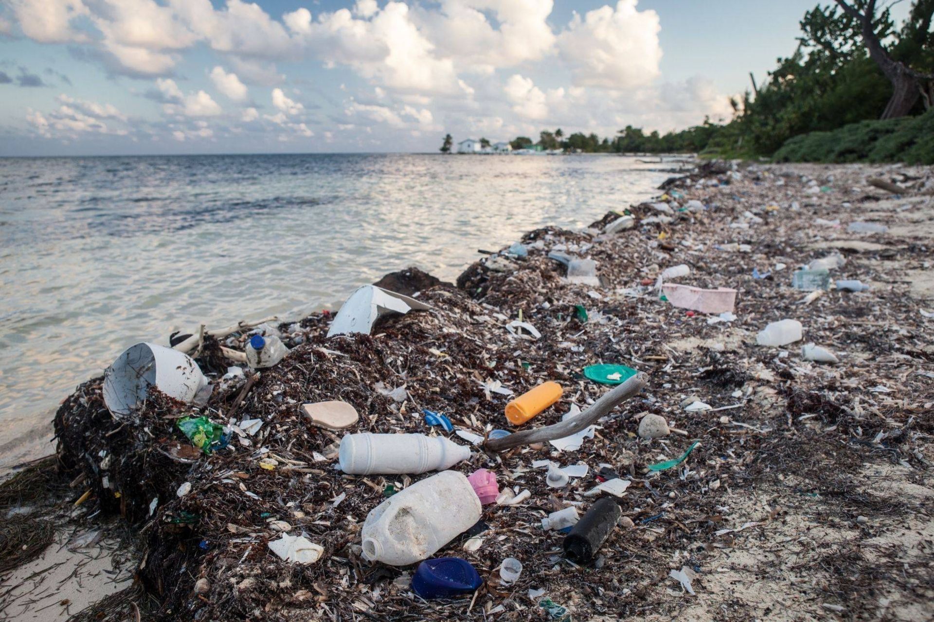 آلودگی پلاستیکی اقیانوس