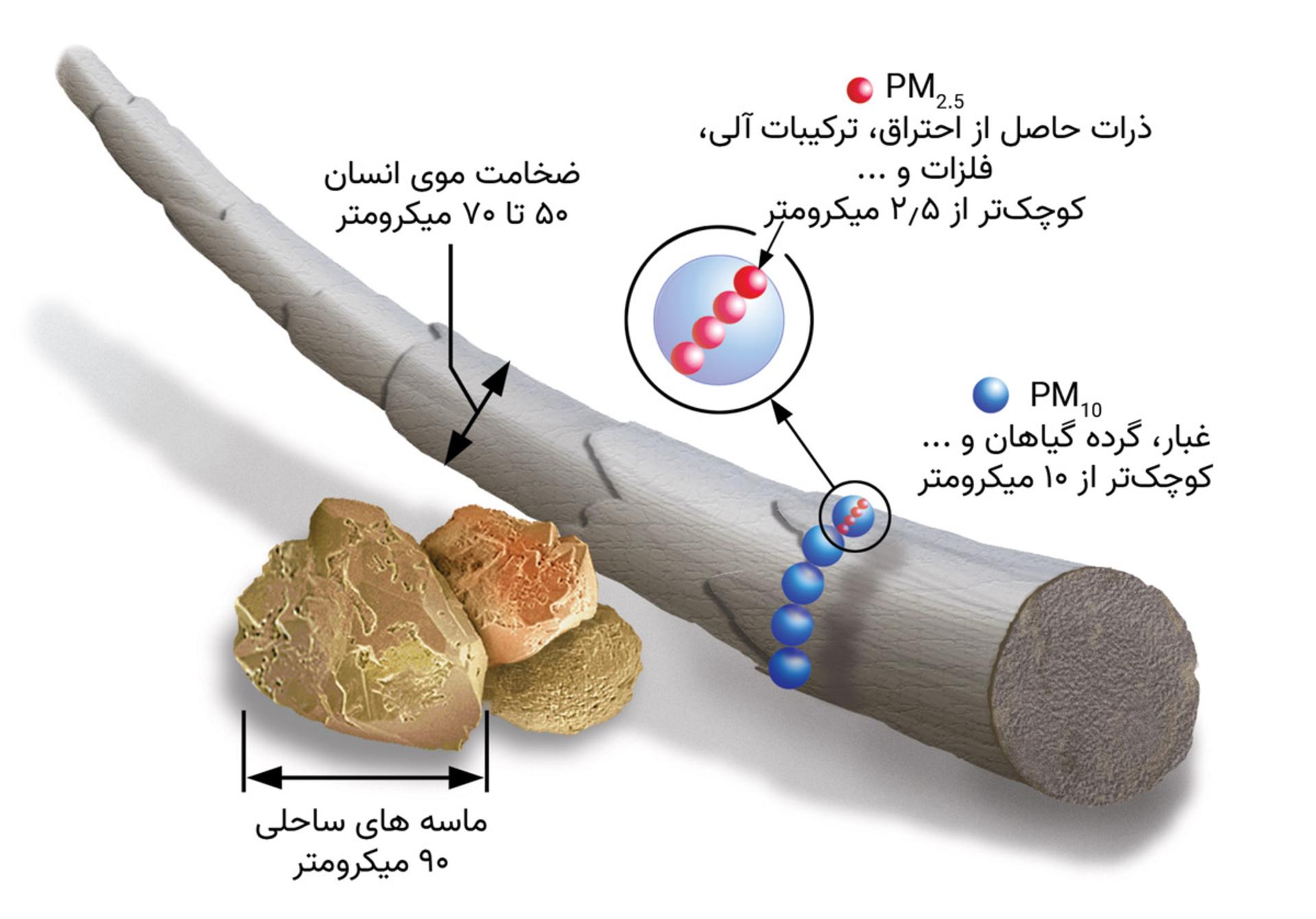 مقایسه اندازه ذرات معلق و تار مو