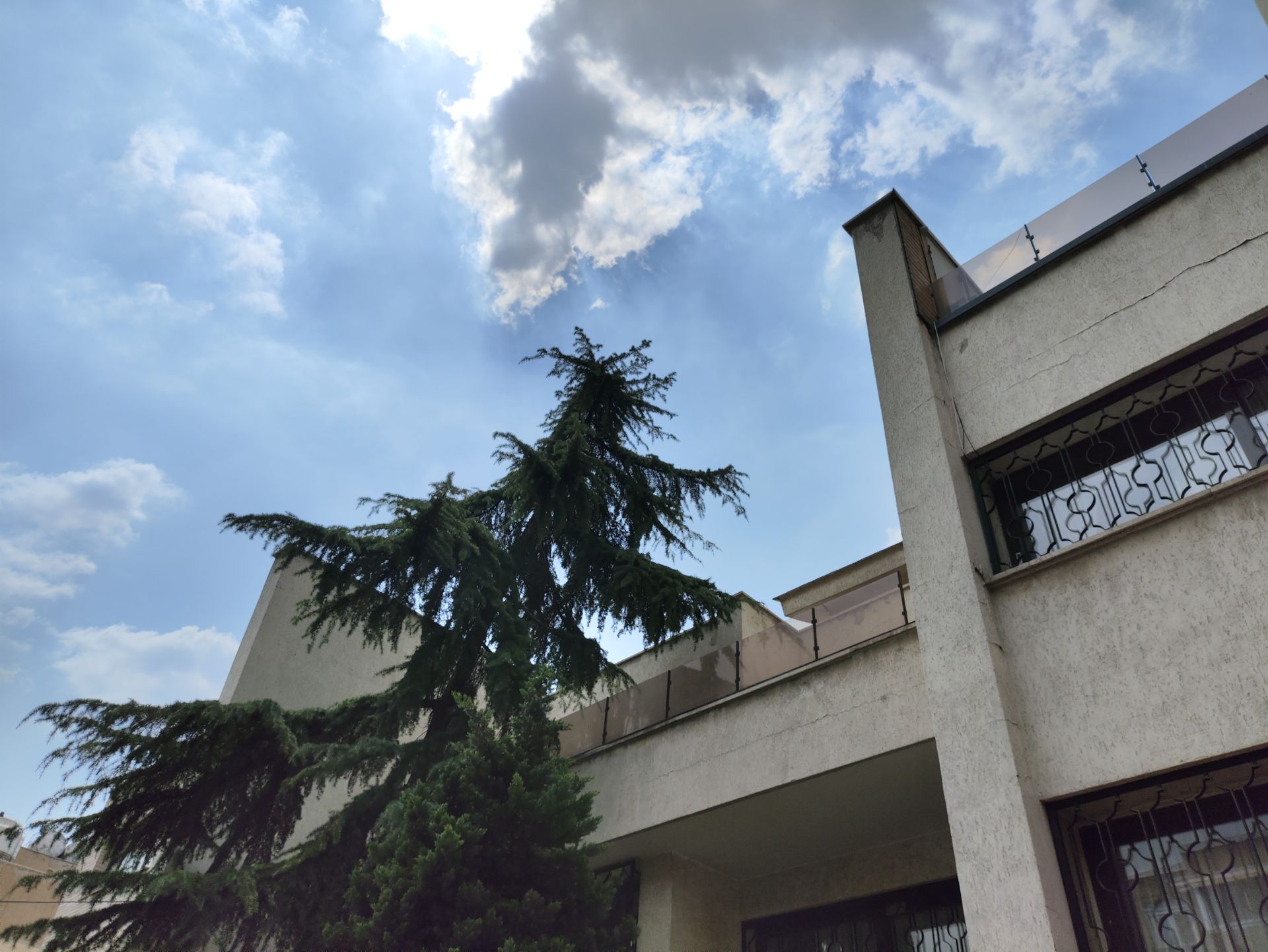 نمونه عکس ثبت شده با دوربین اصلی در نور کافی - پوکو F5 - عکاسی از درخت و ساختمان