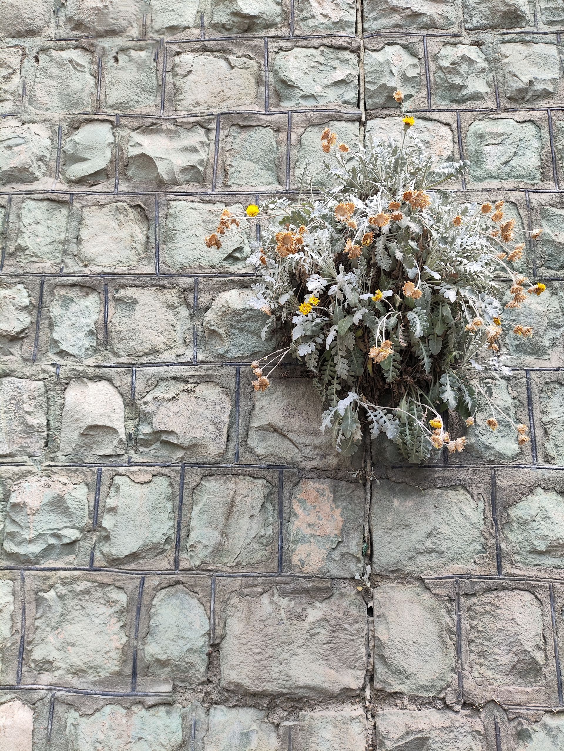 نمونه عکس ثبت شده با دوربین اصلی در نور کافی - پوکو F5 - عکاسی از دیوار