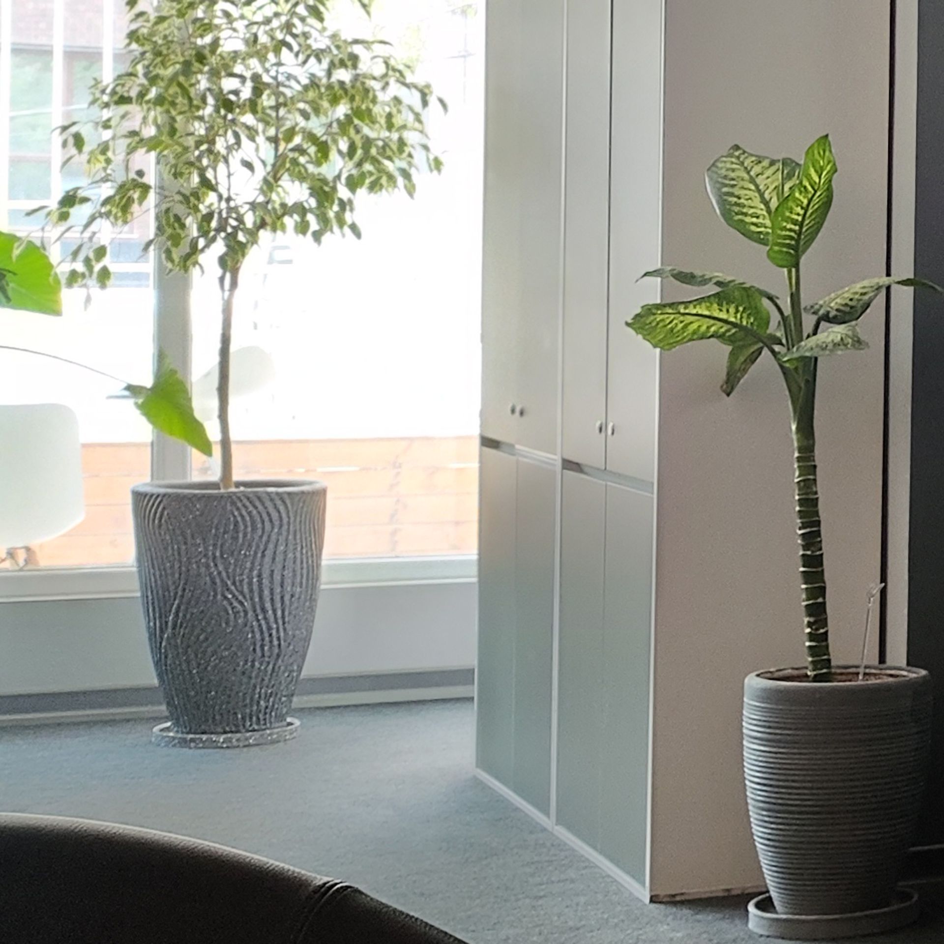 برش ۱۰۰ درصدی عکاسی HDR با دوربین اصلی پوکو F5 شیائومی