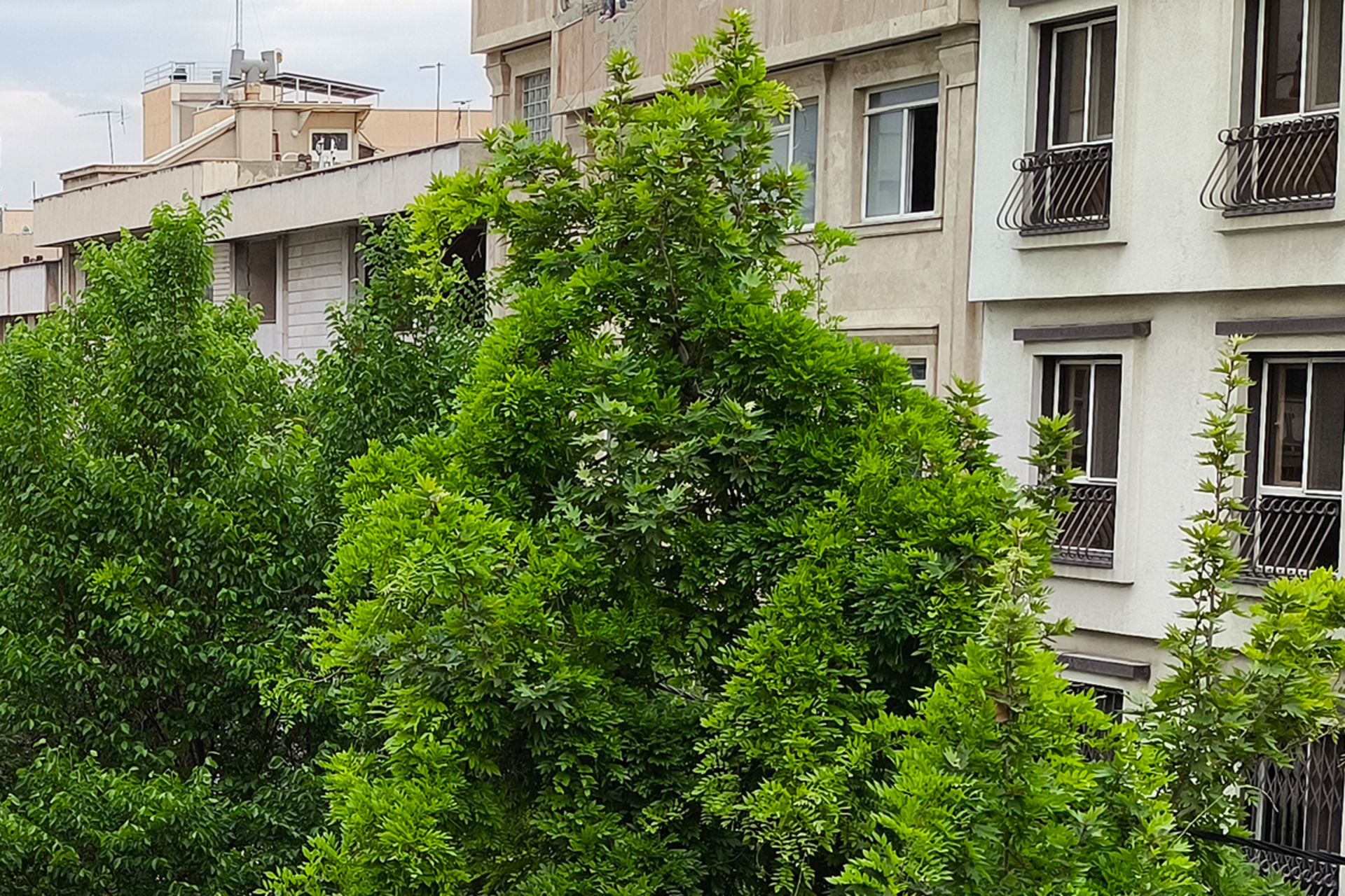 نمونه عکس کراپ شده دوربین اصلی پوکو X6 پرو در محیط روشن خارجی از یک کوچه با ساختمان ها و درختان