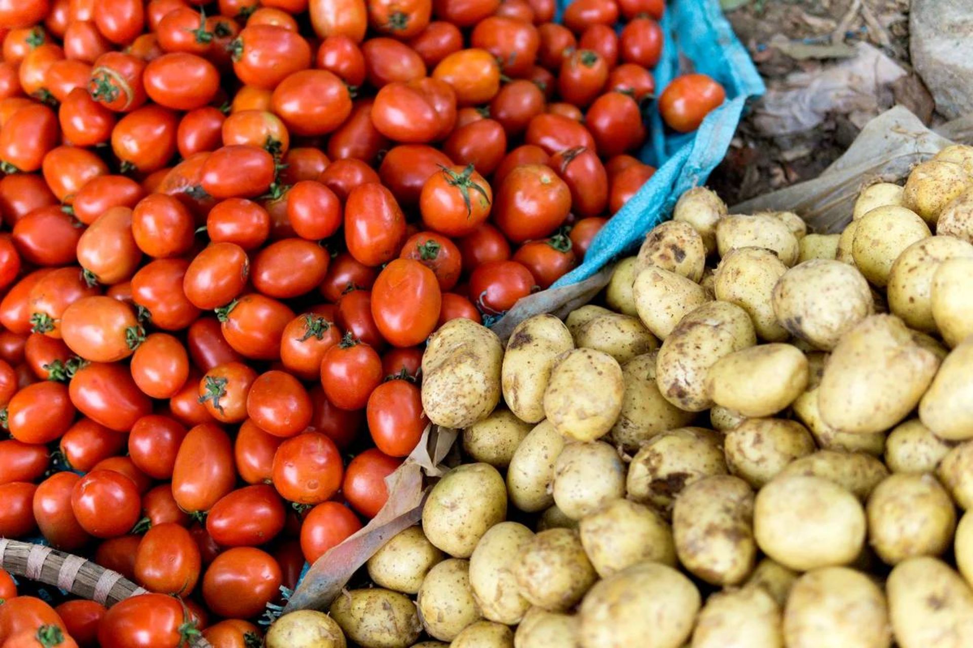 گوجه فرنگی و سیب زمینی