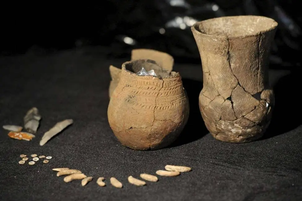 نمونه های ظروف فرهنگ پیاله ناقوسی