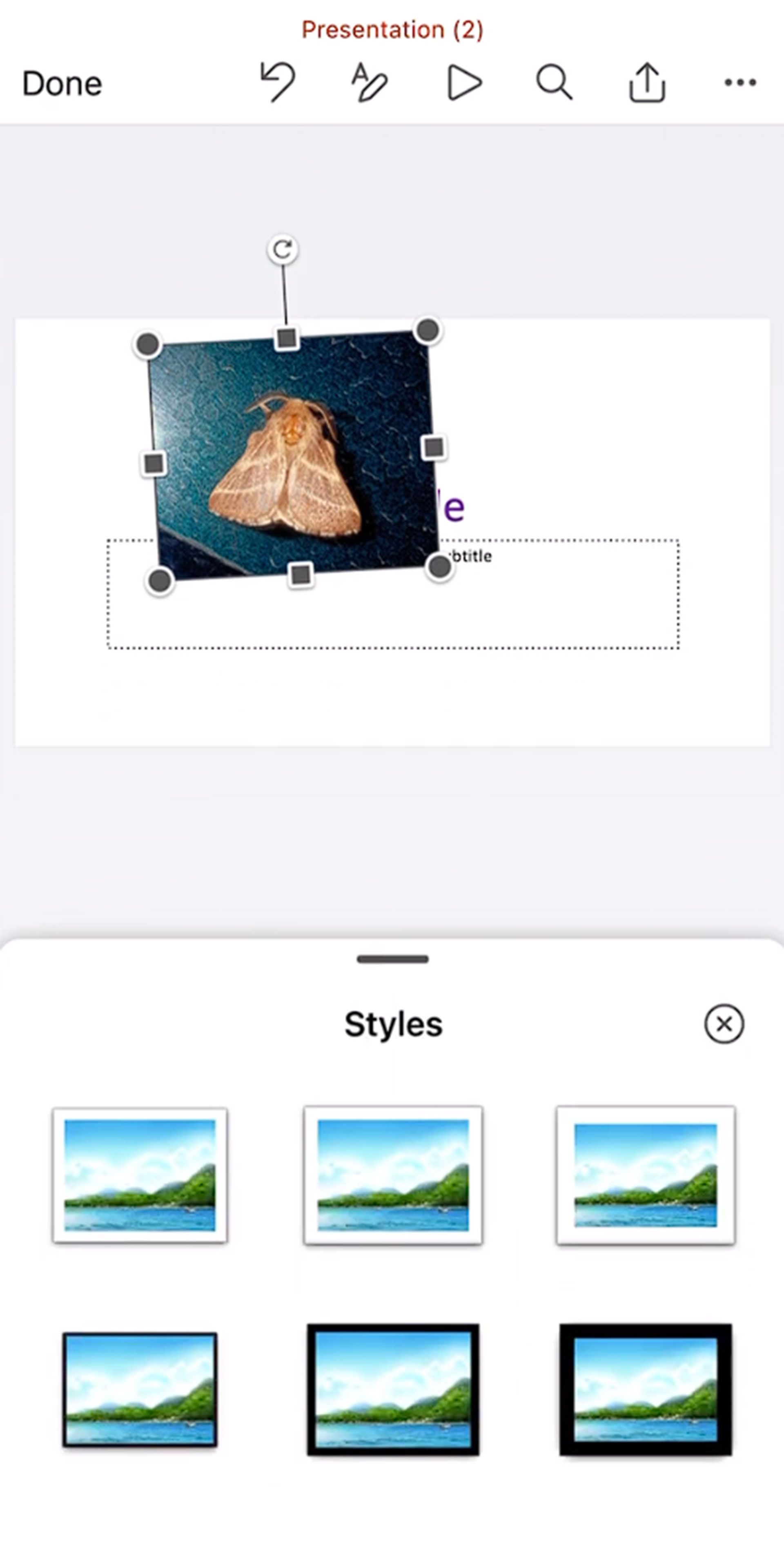  استایل های مختلف تصویر