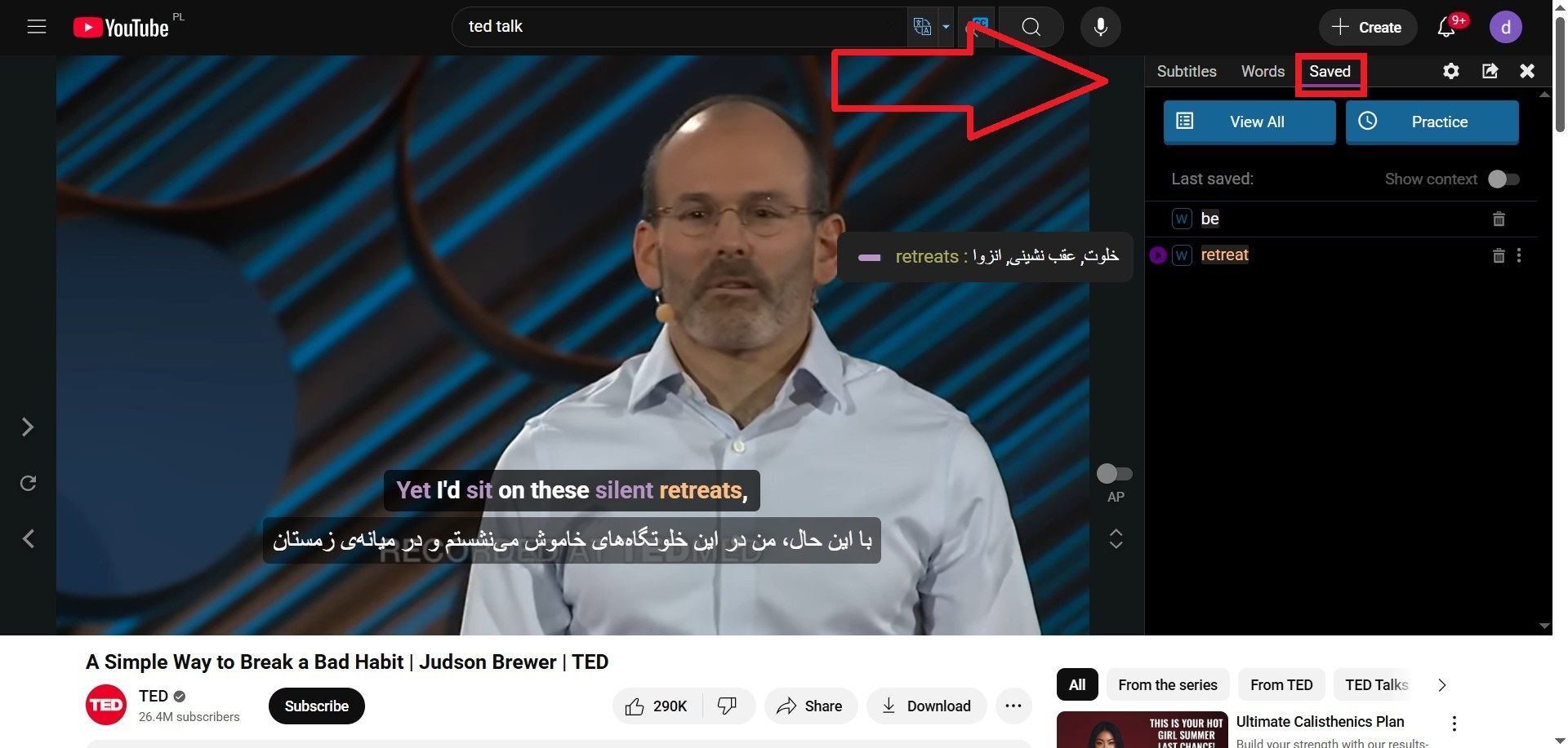 کلمات ذخیره‌شده در language reactor
