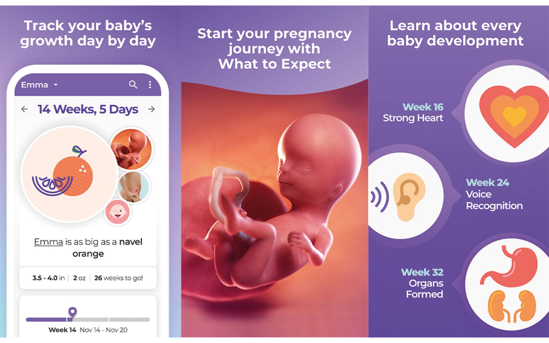 اپلیکیشن Pregnancy and BabyTracker