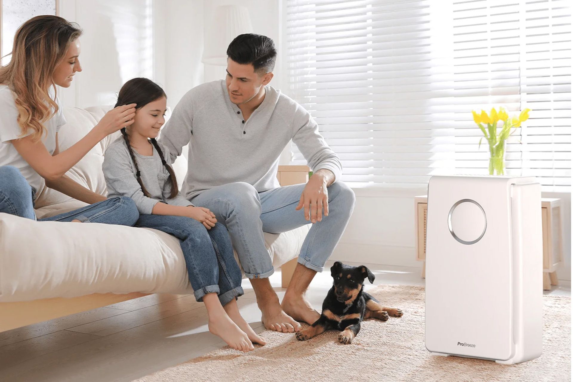 ابعاد و اندازه دستگاه تصفیه هوا پرو بریز 5-in-1 Air Purifier