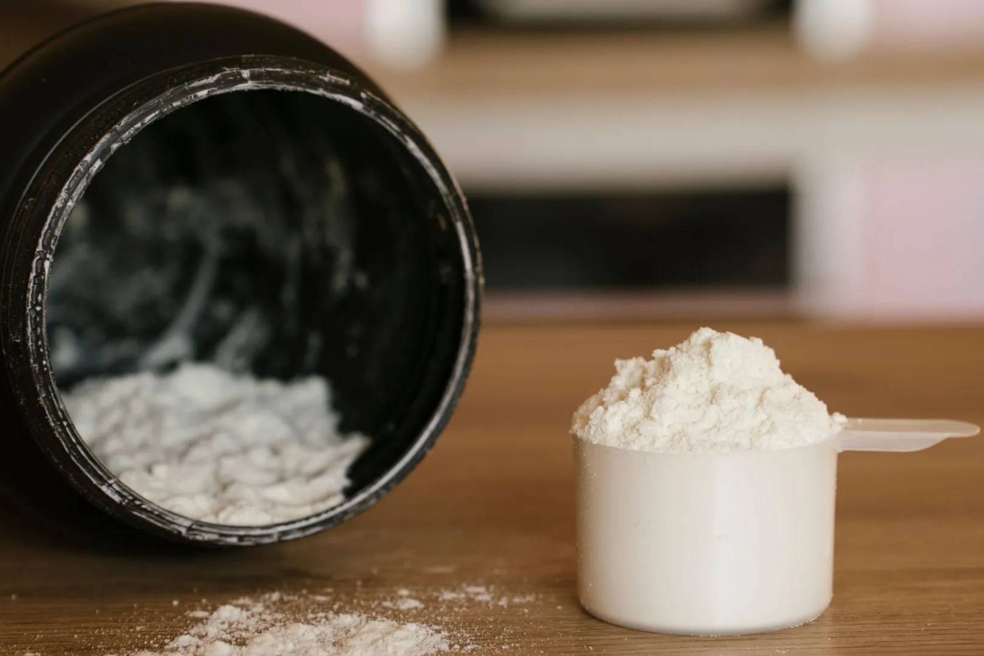 پودر پروتئین