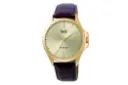 ساعت مچی مردانه کیو اند کیو Q&Q C36A-010PY