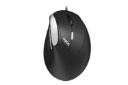 ماوس رپو Rapoo Silent Ev200