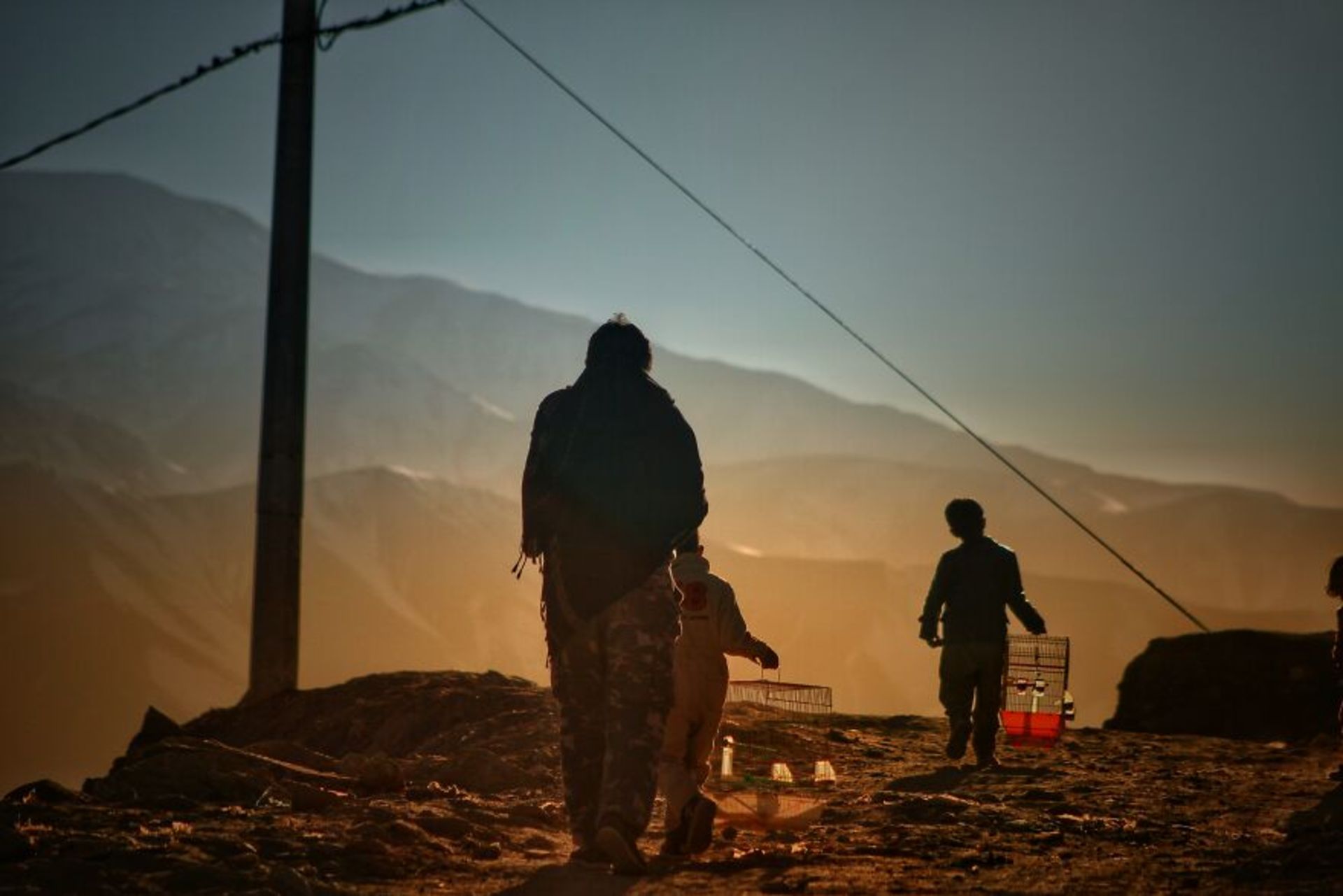 کودکان افغان در غروب با قفس پرنده