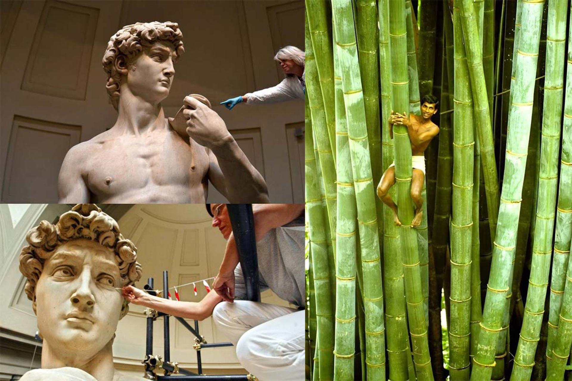 اندازه واقعی بزرگ‌ترین اجسام و جانداران دنیا چقدر است؟