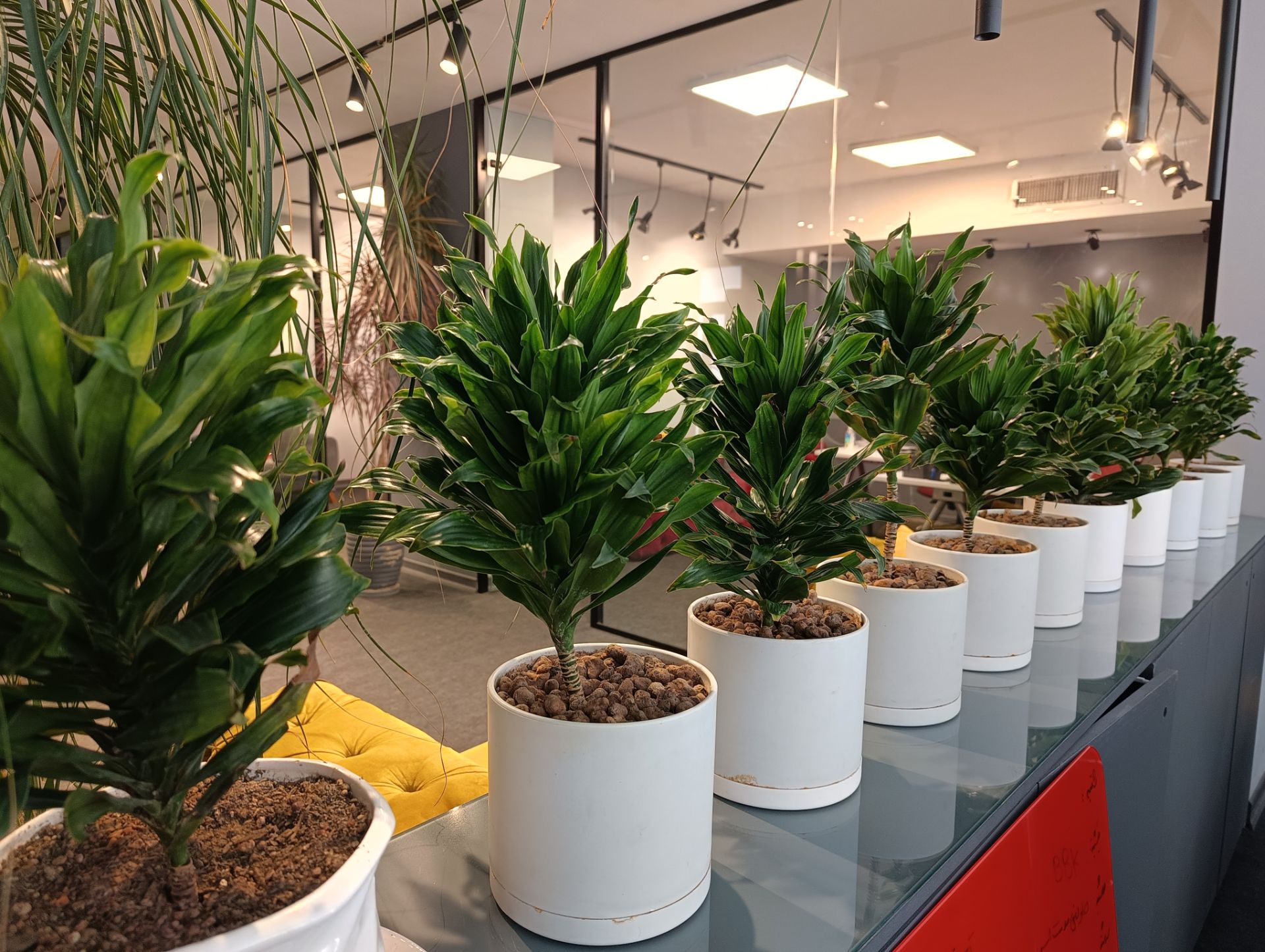 گلدان‌های تحریریه زومیت