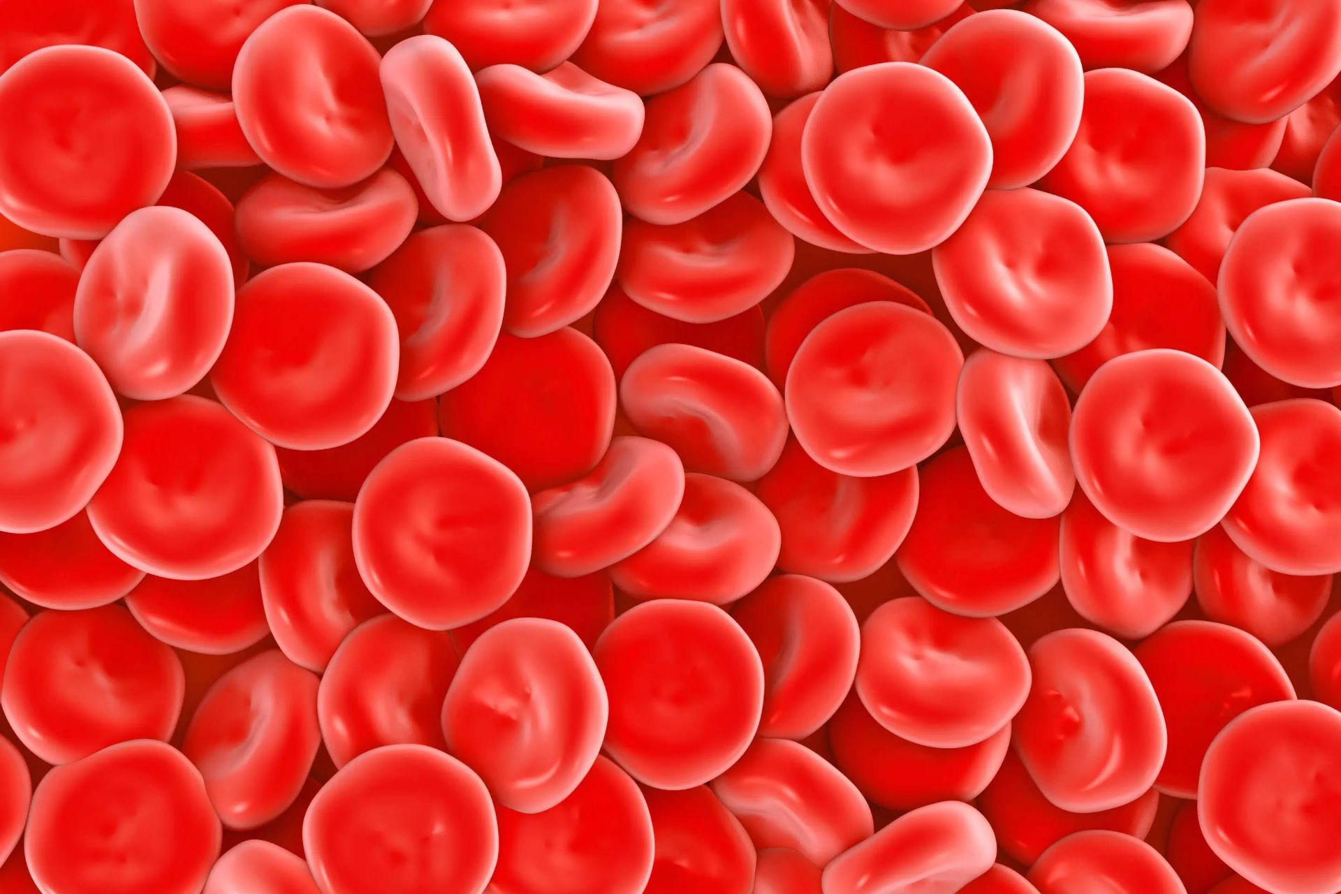 سلول های قرمز خون
