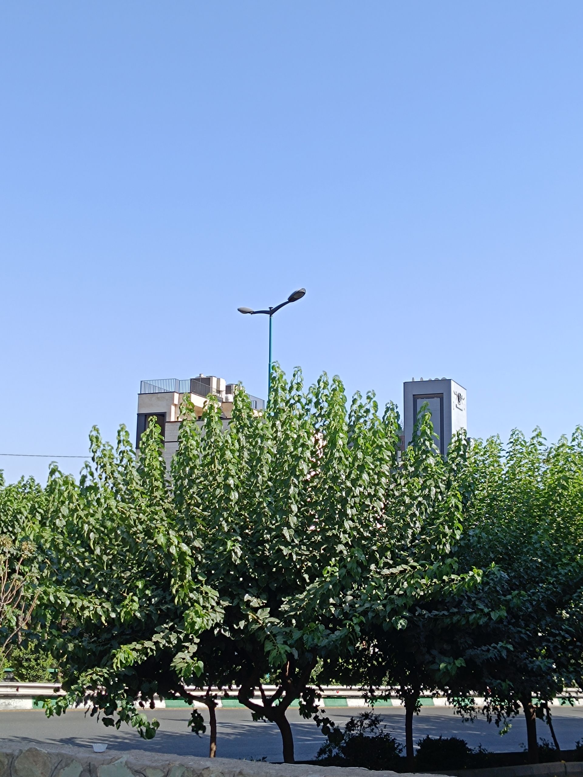 نمونه عکس ثبت شده با ردمی نوت ۱۲ پور 5G در روز شماره ۱۴