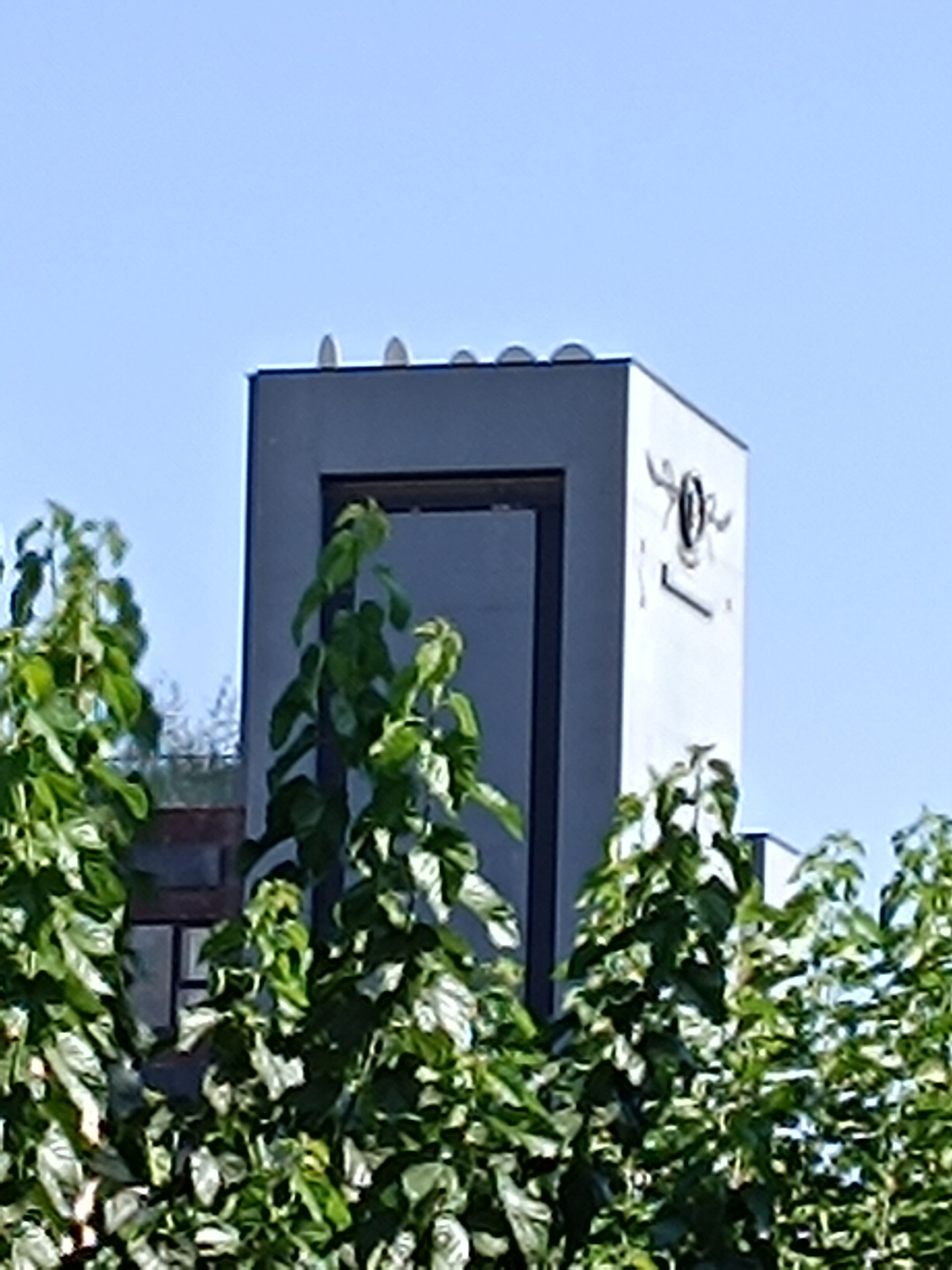 نمونه عکس ثبت شده با ردمی نوت ۱۲ پور 5G در روز شماره ۱۵