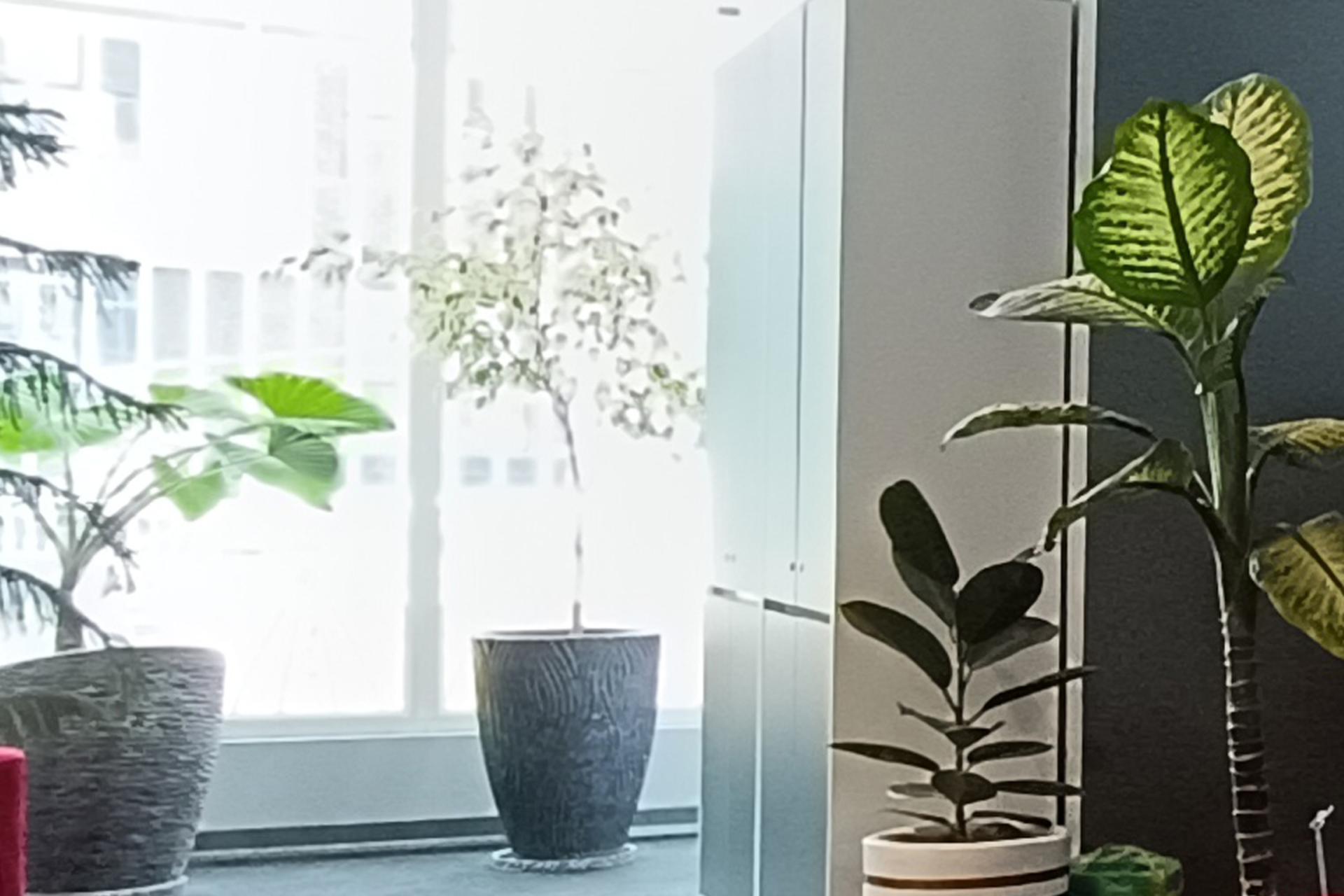 برش نمونه عکس ثبت شده با دوربین واید ردمی نوت ۱۲ پرو 5G در شرایط نوری چالش‌برانگیز