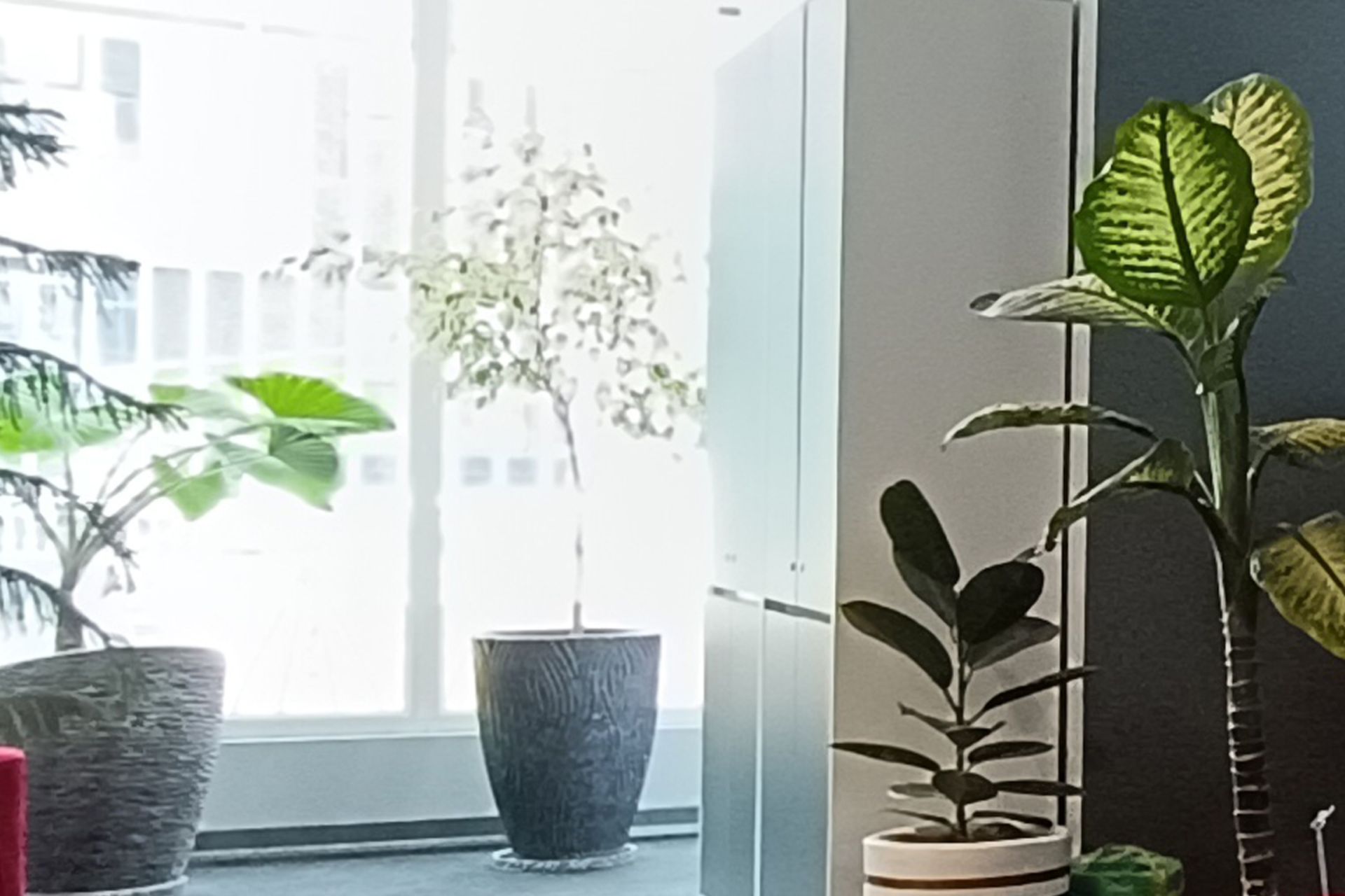 برش نمونه عکس ثبت شده با دوربین واید ردمی نوت ۱۲ پرو 5G در شرایط نوری چالش‌برانگیز