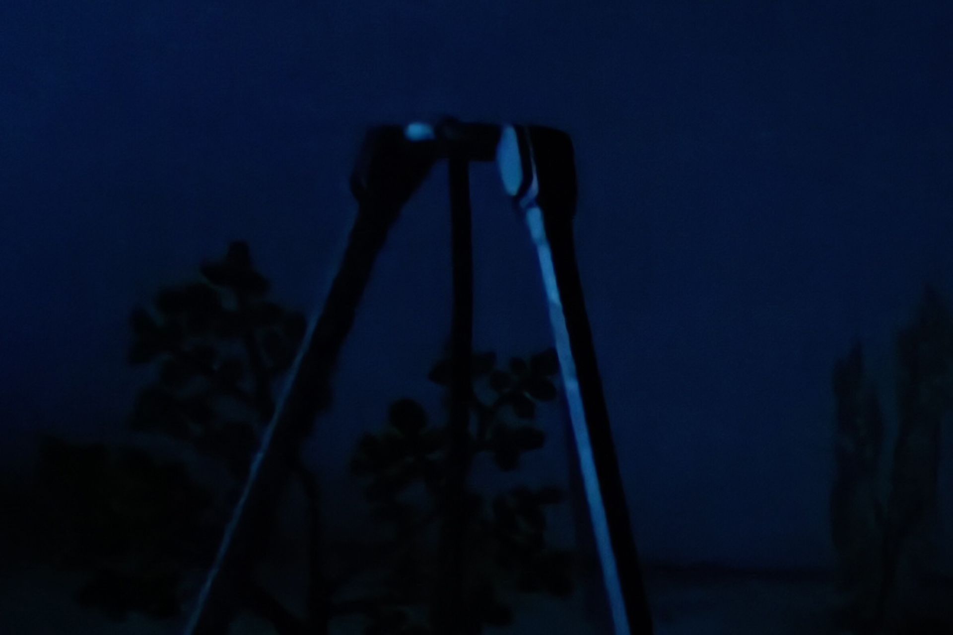 برش دوربین اولتراواید ردمی نوت ۱۲ پرو 5G در نور کم نایت مود