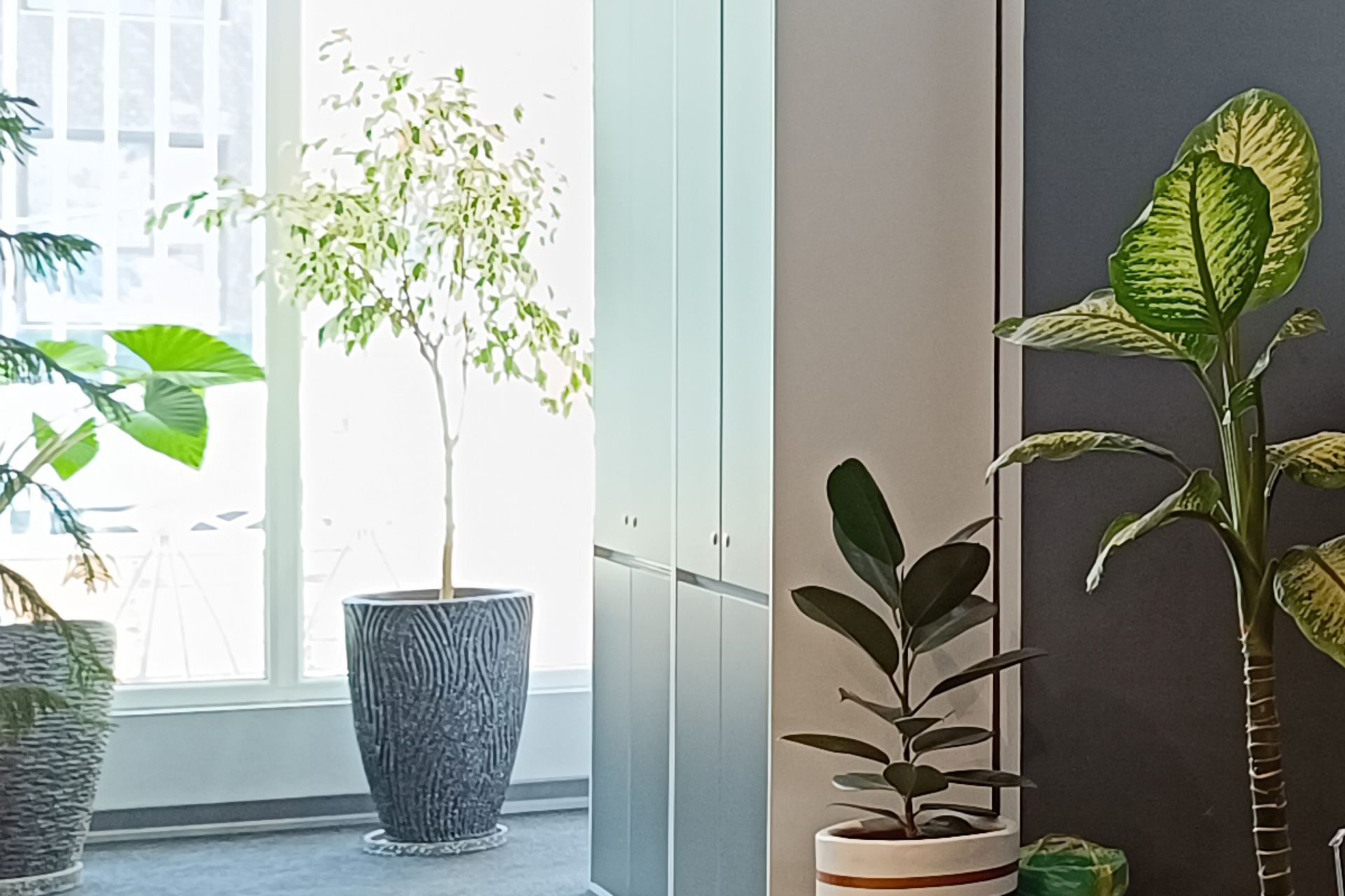 برش نمونه عکس ثبت شده با دوربین اولتراواید ردمی نوت ۱۲ پرو 5G در شرایط نوری چالش‌برانگیز