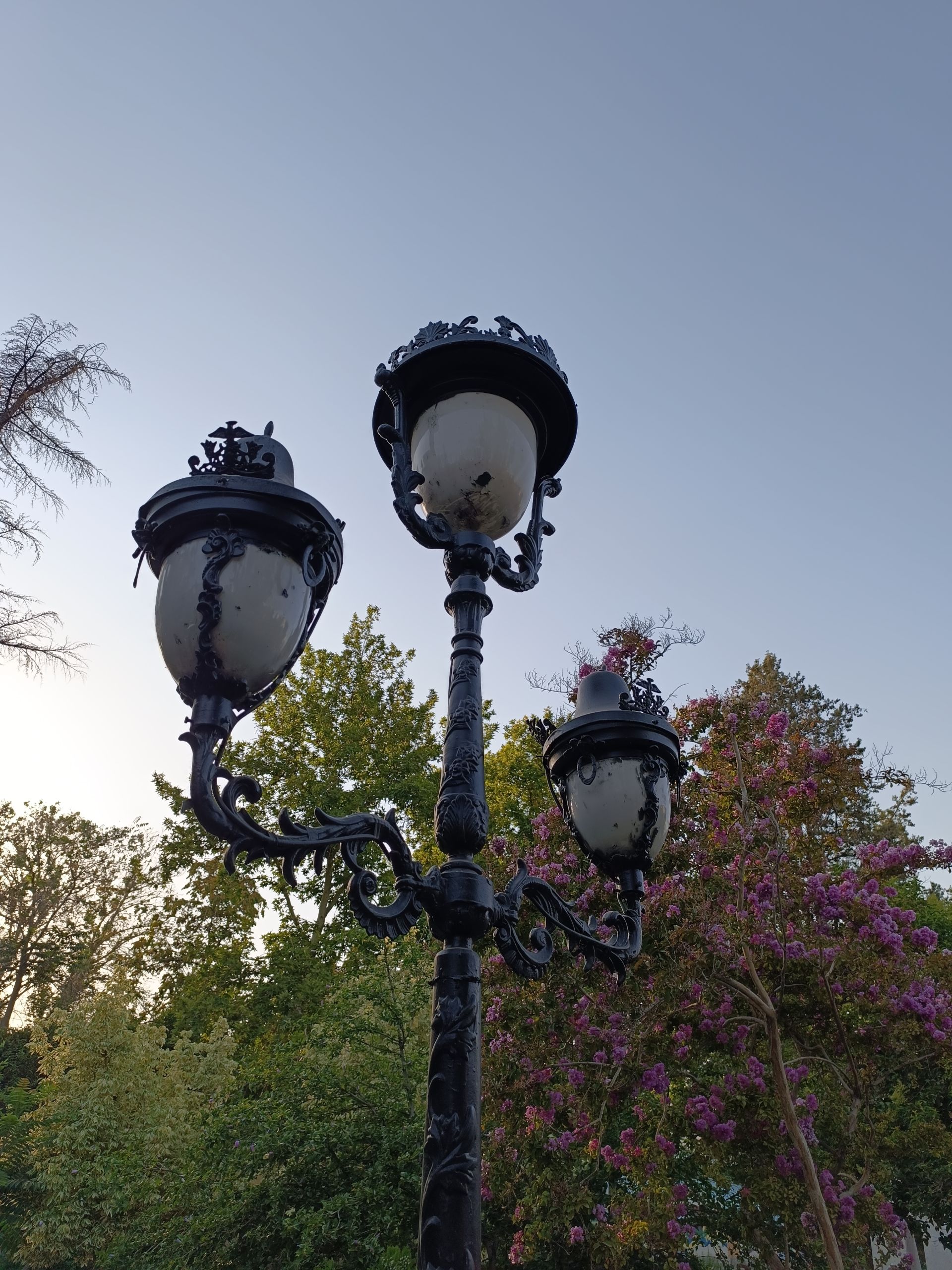 نمونه عکس ثبت شده با ردمی نوت ۱۲ پور پلاس در روز شماره ۱