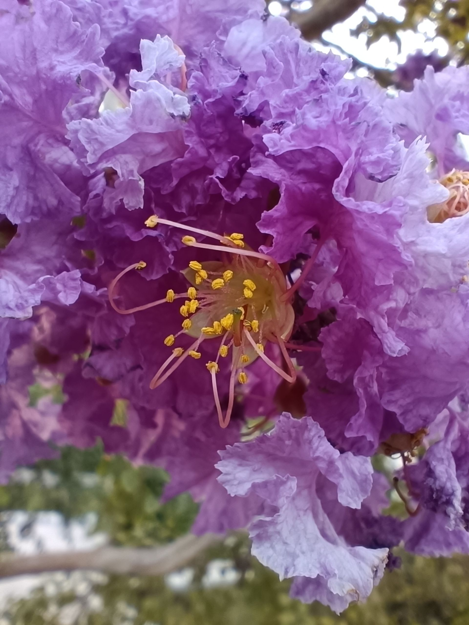 نمونه عکس ثبت شده با ردمی نوت ۱۲ پور پلاس در روز شماره ۲