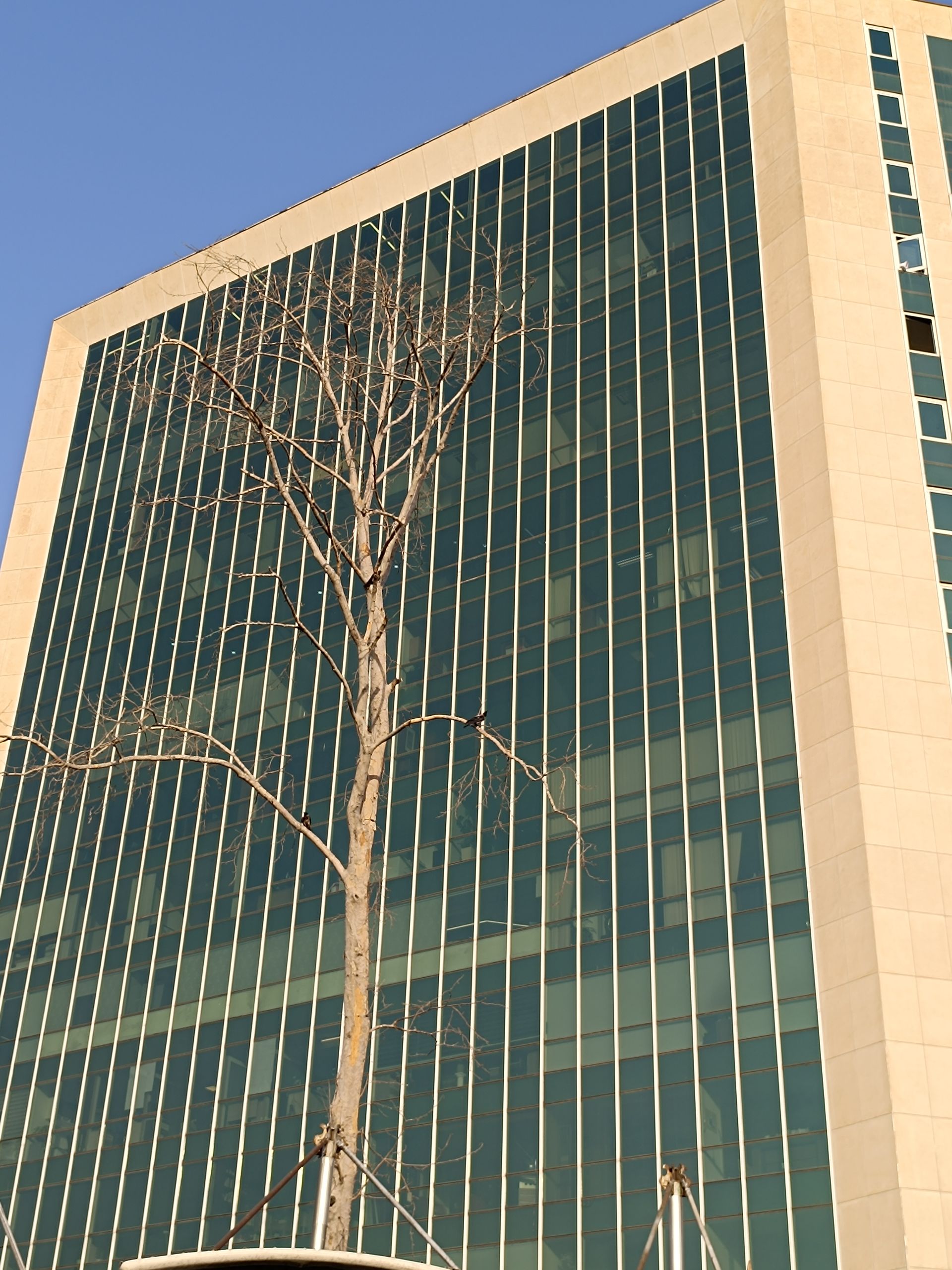 نمونه عکس ثبت شده با ردمی نوت ۱۲ پور پلاس در روز شماره ۶