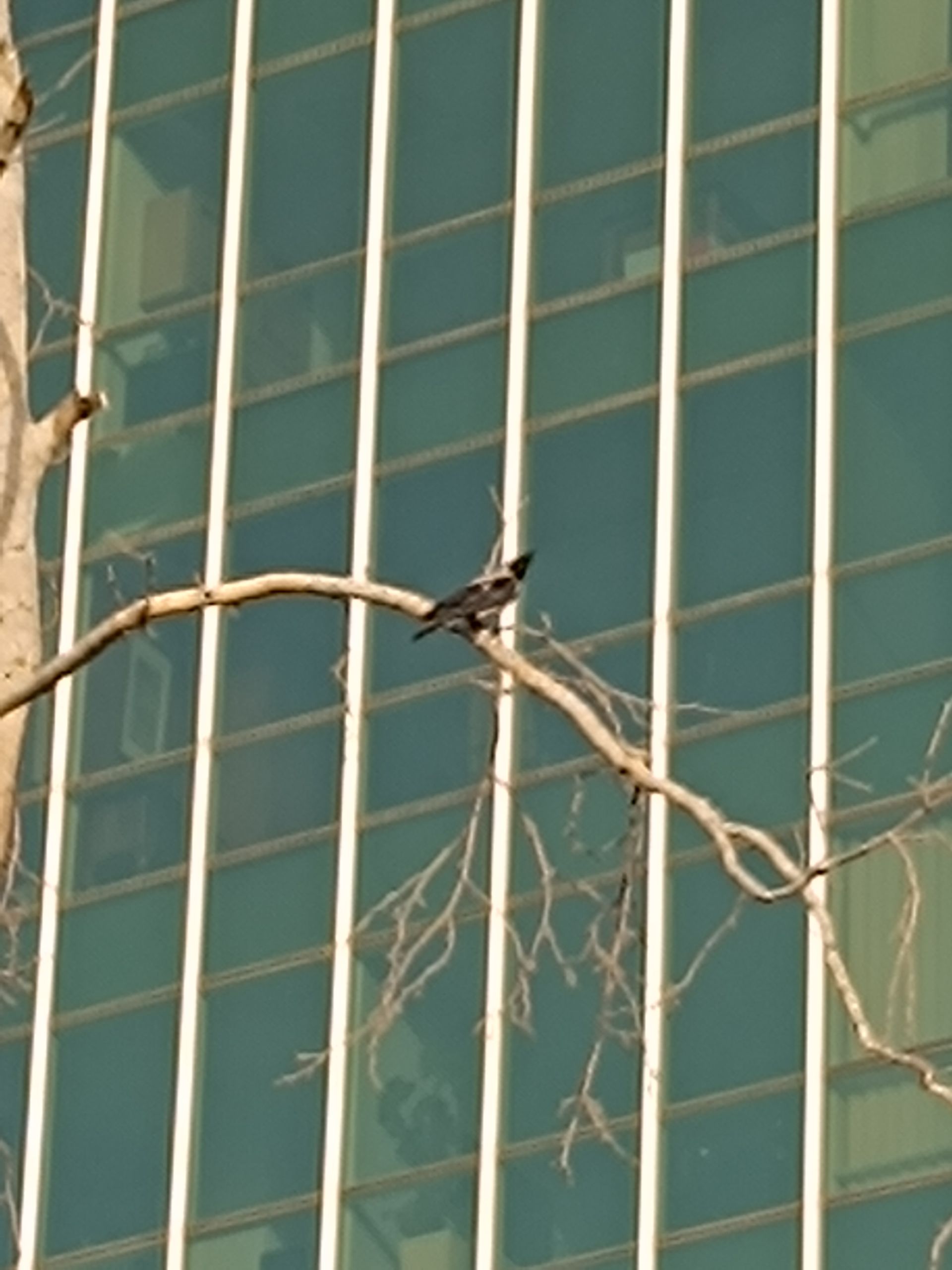 نمونه عکس ثبت شده با ردمی نوت ۱۲ پور پلاس در روز شماره ۷