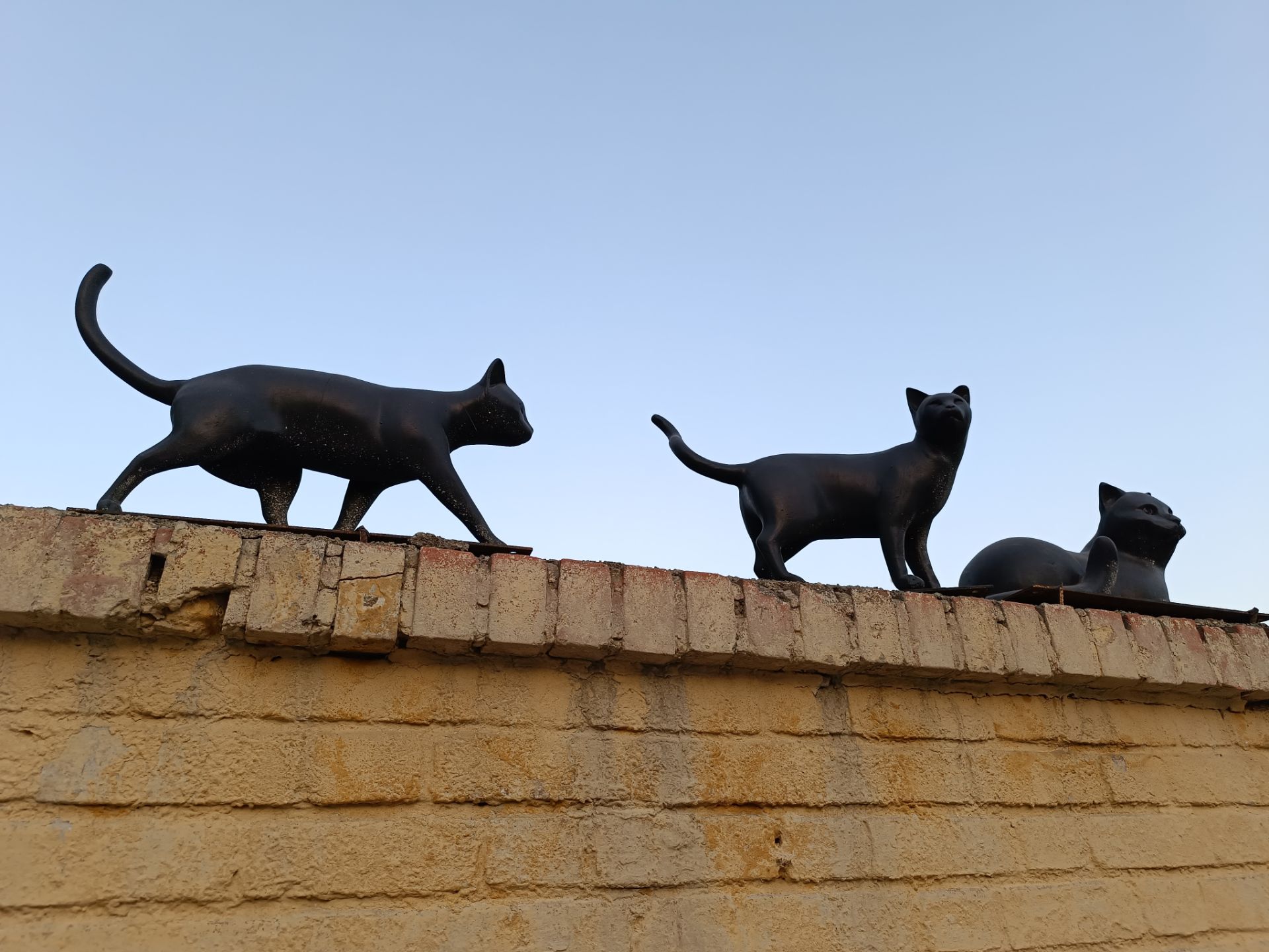 نمونه عکس ثبت شده با ردمی نوت ۱۲ پور پلاس در روز شماره ۲۶