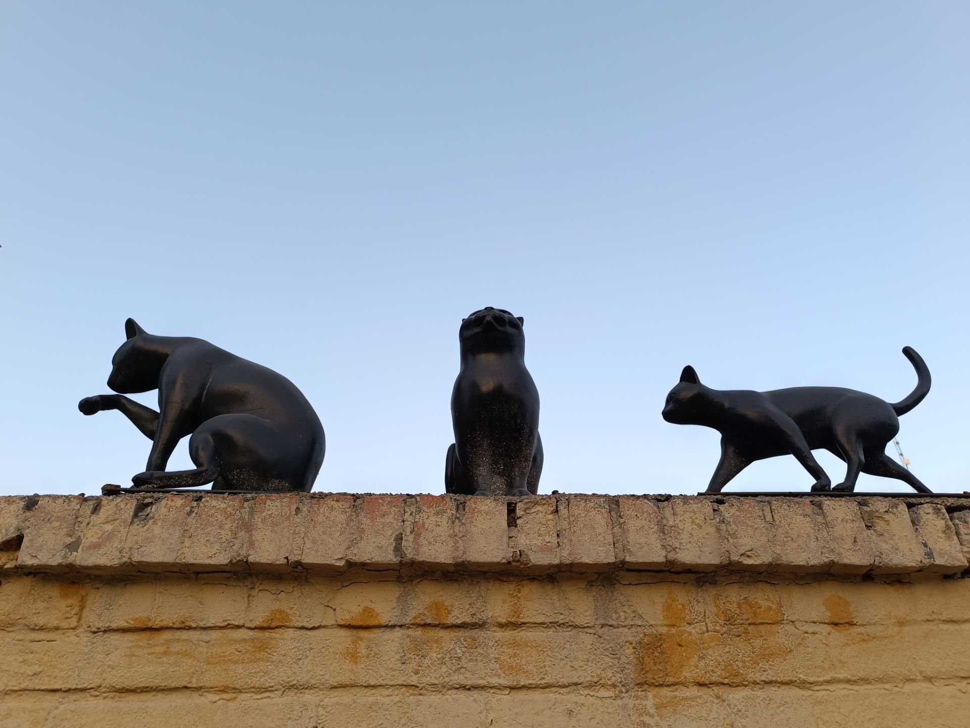 نمونه عکس ثبت شده با ردمی نوت ۱۲ پور پلاس در روز شماره ۲۷