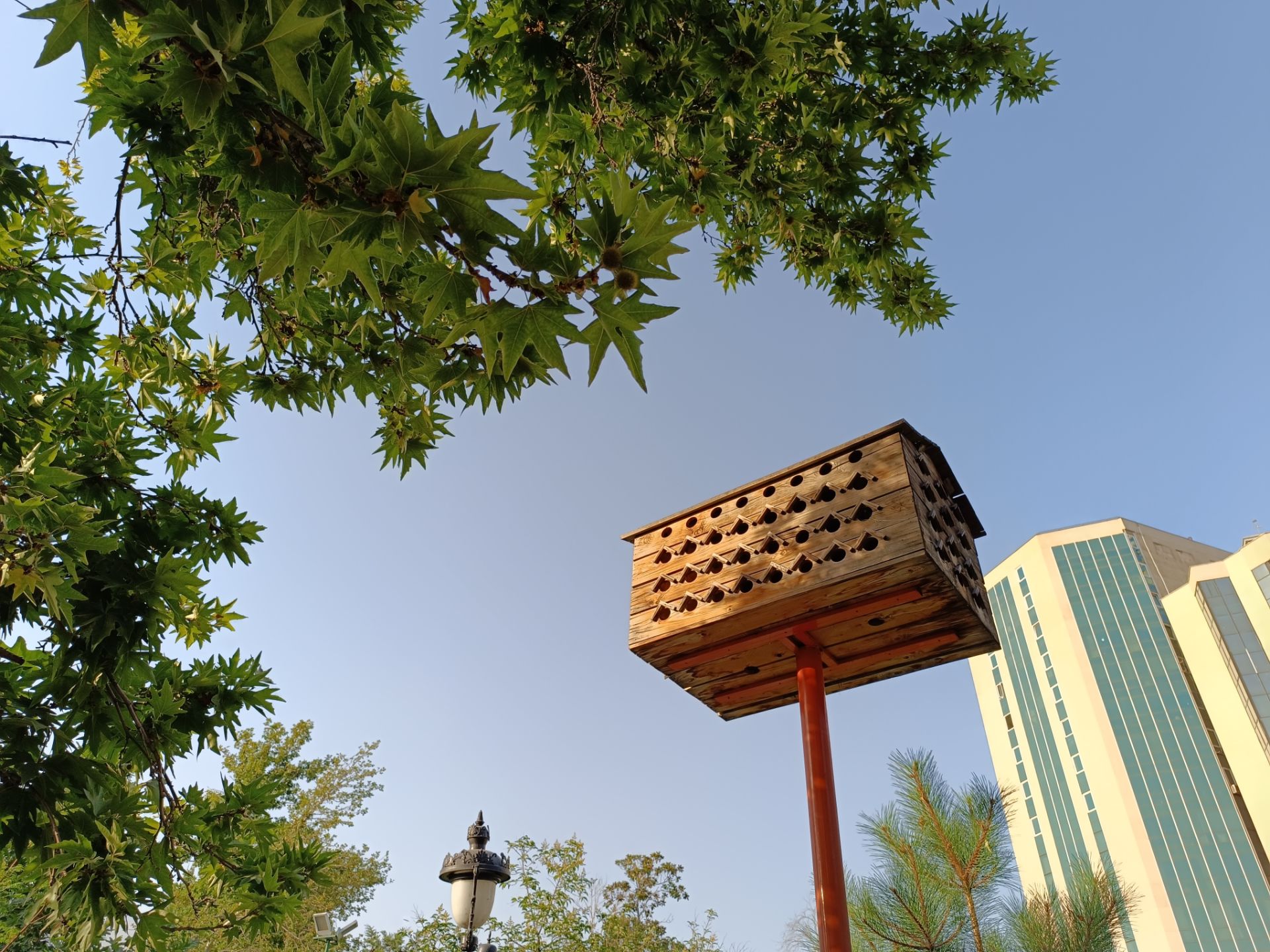 نمونه عکس ثبت شده با ردمی نوت ۱۲ پور پلاس در روز شماره ۳۱