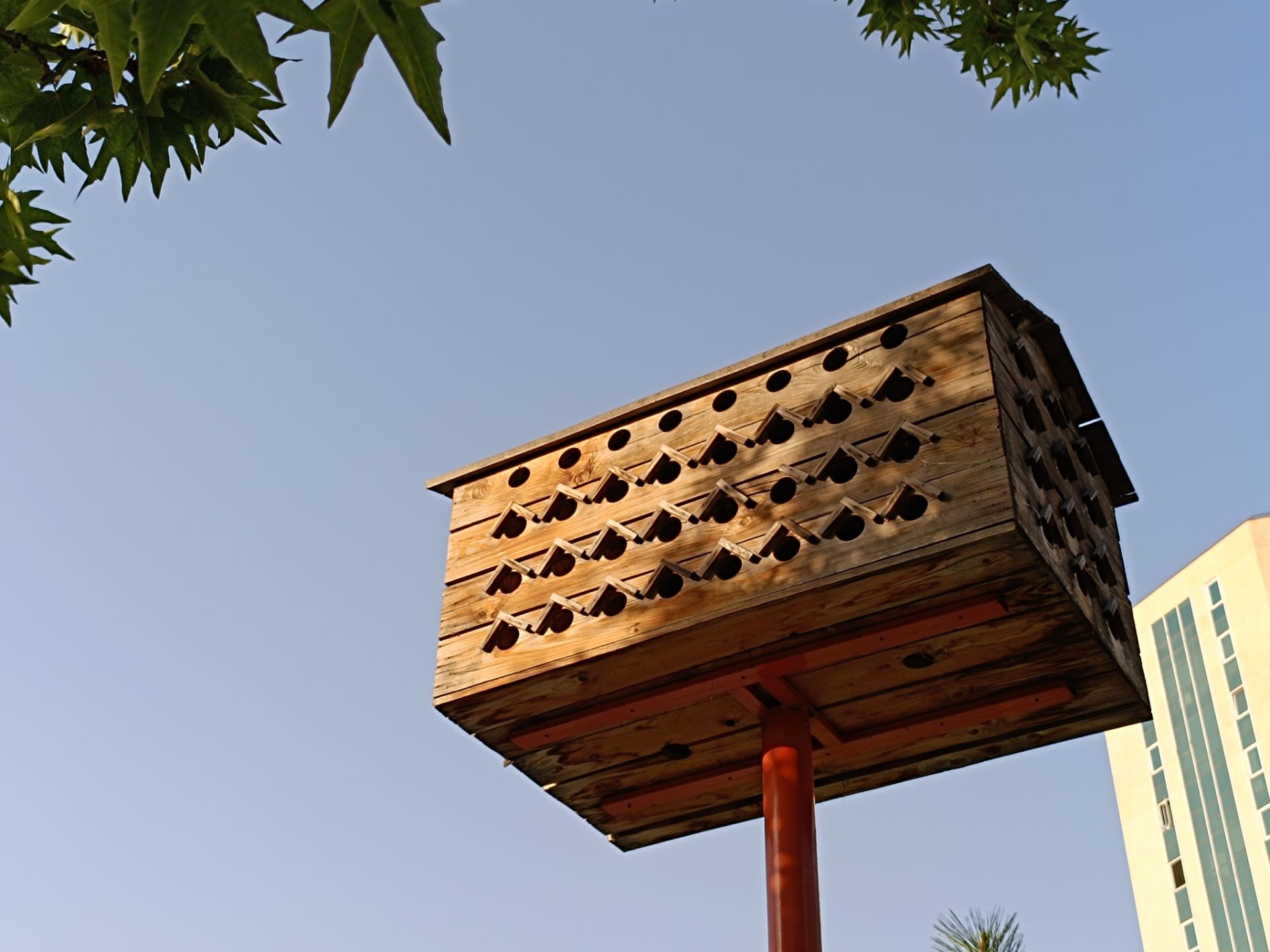 نمونه عکس ثبت شده با ردمی نوت ۱۲ پور پلاس در روز شماره ۳۲