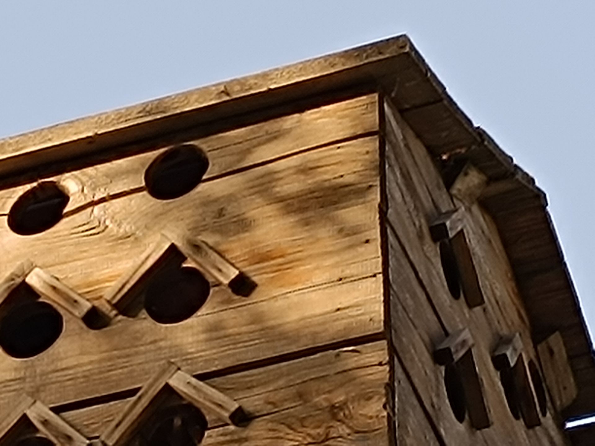 نمونه عکس ثبت شده با ردمی نوت ۱۲ پور پلاس در روز شماره ۳۳