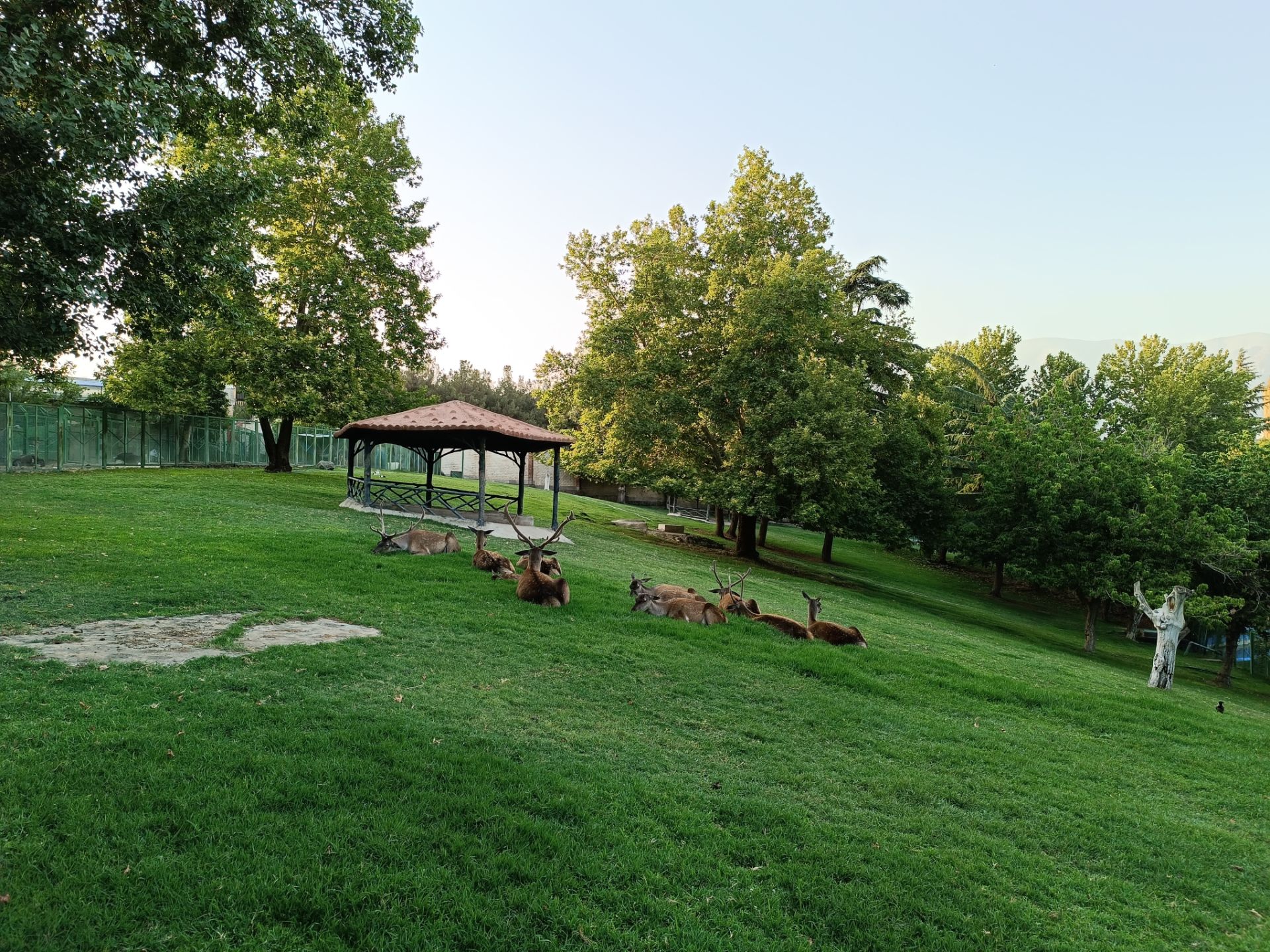 نمونه عکس ثبت شده با ردمی نوت ۱۲ پور پلاس در روز شماره ۳۴