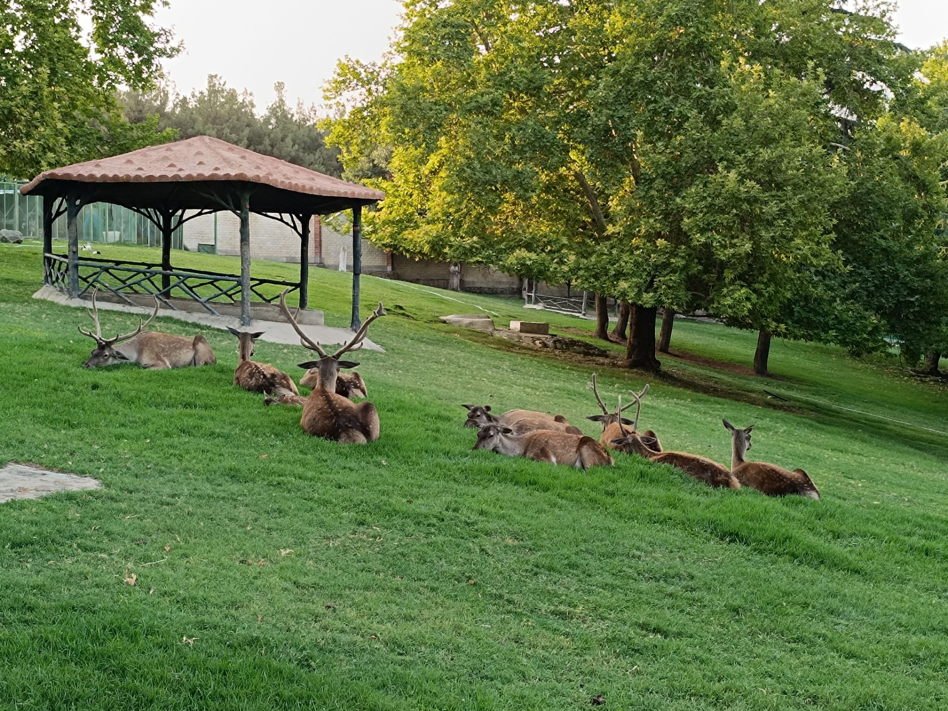 نمونه عکس ثبت شده با ردمی نوت ۱۲ پور پلاس در روز شماره ۳۵