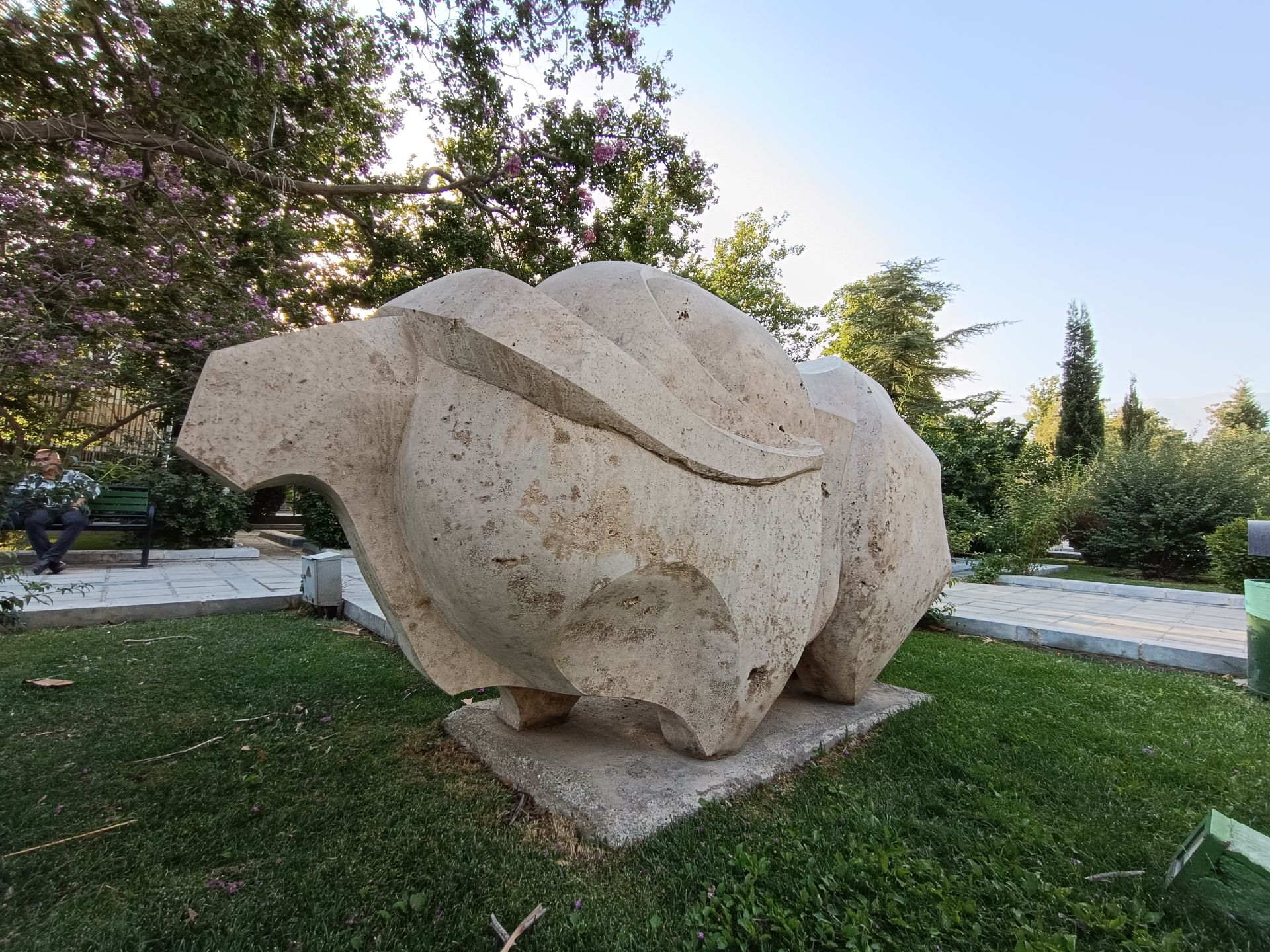 نمونه عکس ثبت شده با ردمی نوت ۱۲ پور پلاس در روز شماره ۳۸