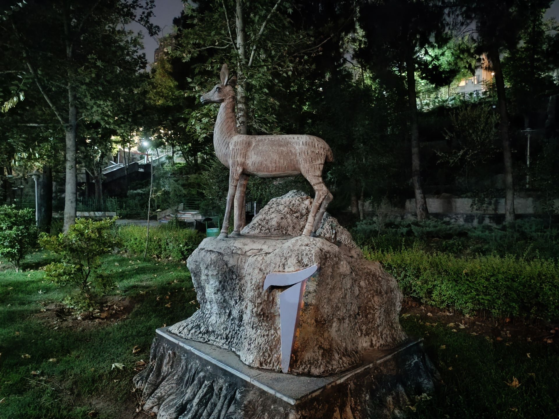 نمونه عکس ثبت شده با ردمی نوت ۱۲ پور پلاس در شب شماره ۹