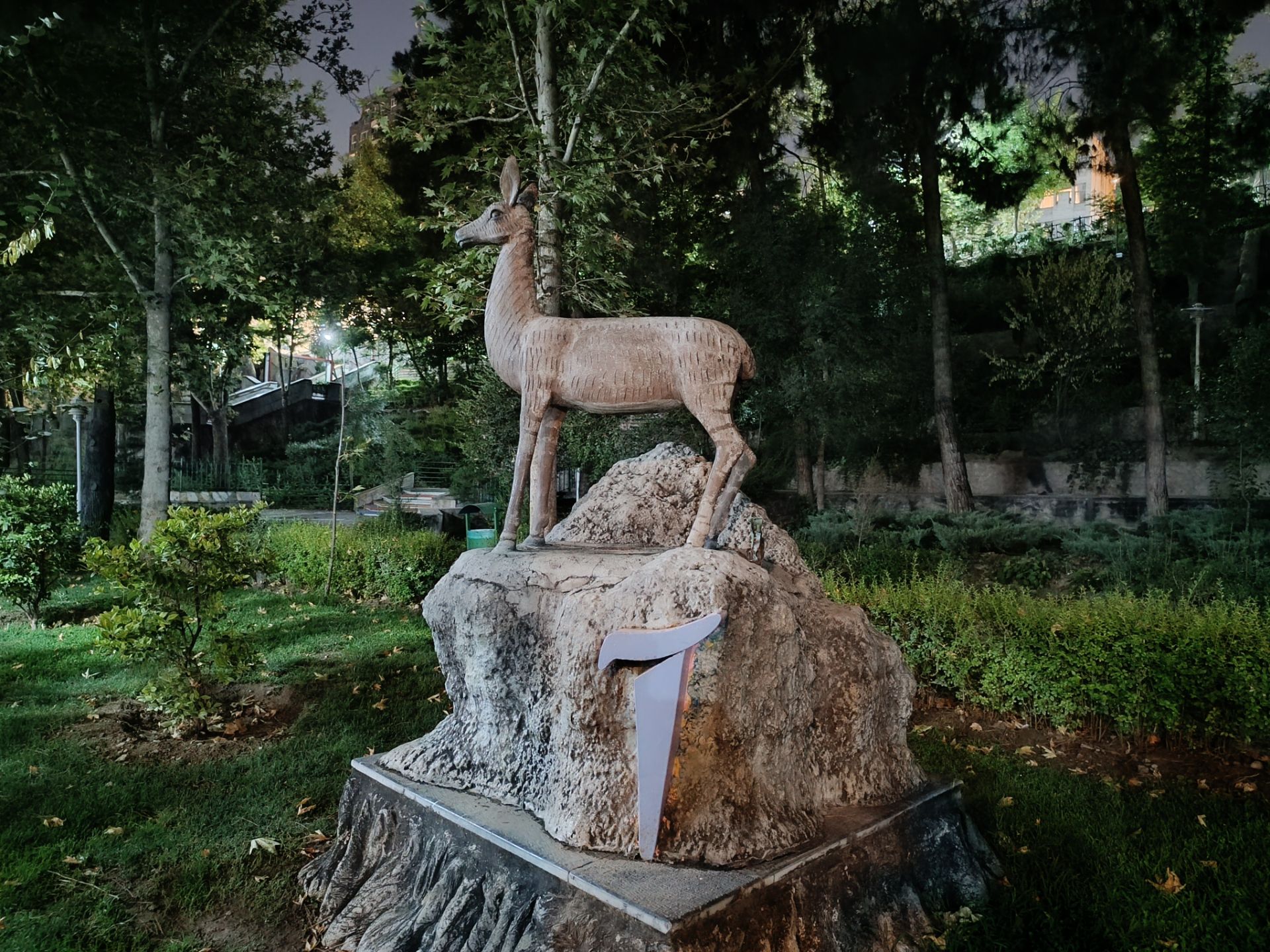 نمونه عکس ثبت شده با ردمی نوت ۱۲ پور پلاس در شب شماره ۱۰