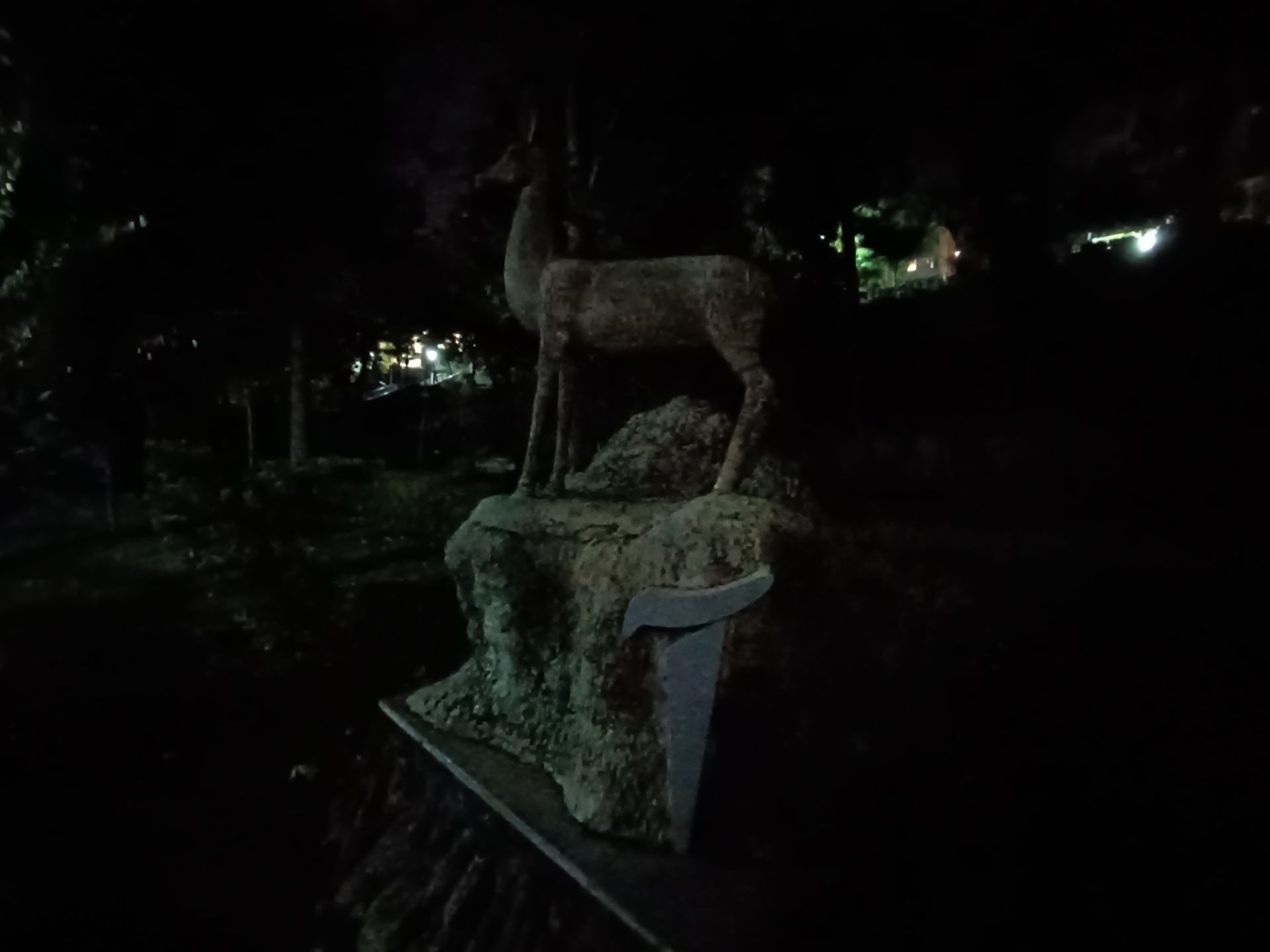 نمونه عکس ثبت شده با ردمی نوت ۱۲ پور پلاس در شب شماره ۱۹