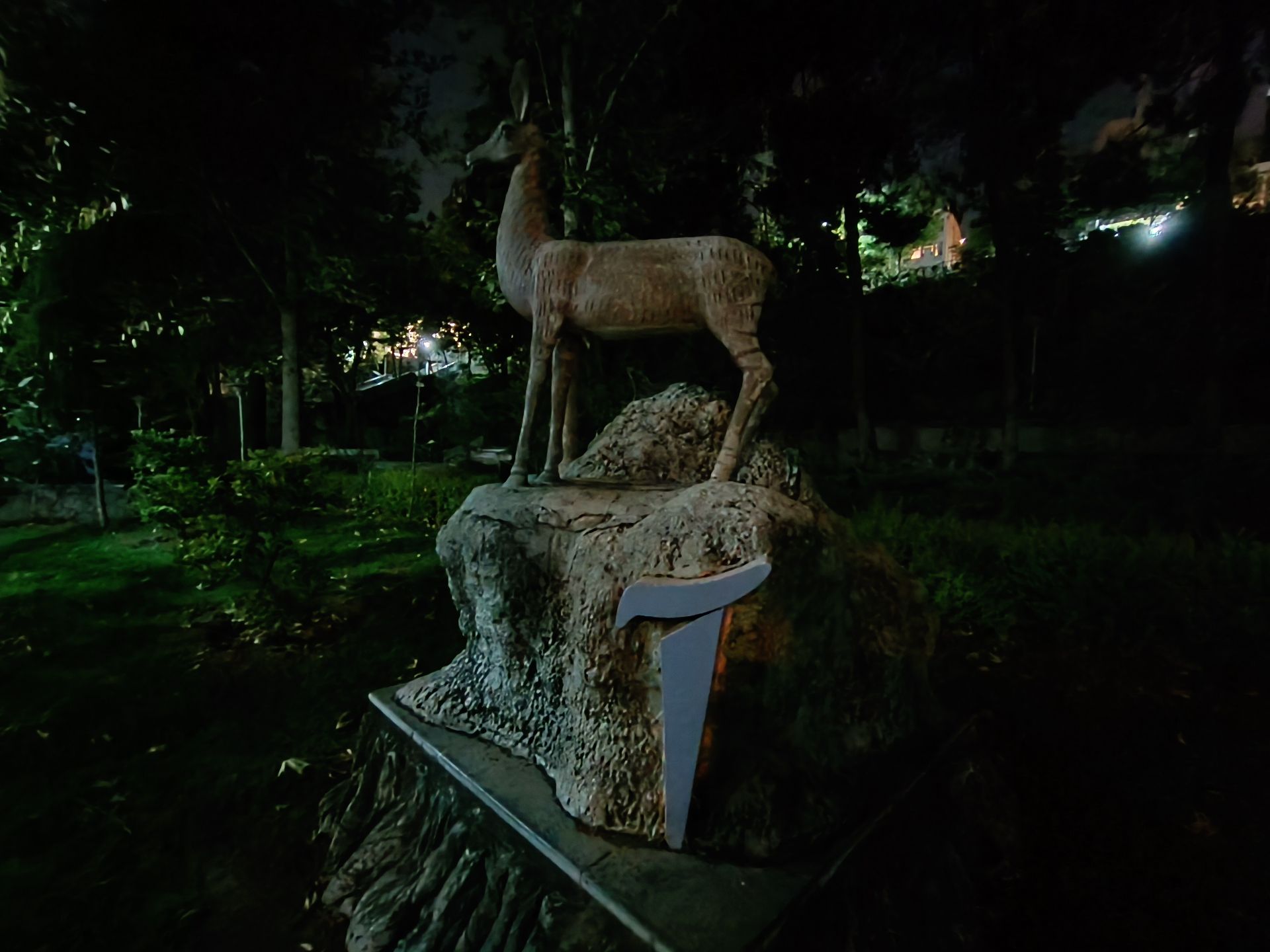 نمونه عکس ثبت شده با ردمی نوت ۱۲ پور پلاس در شب شماره ۲۰