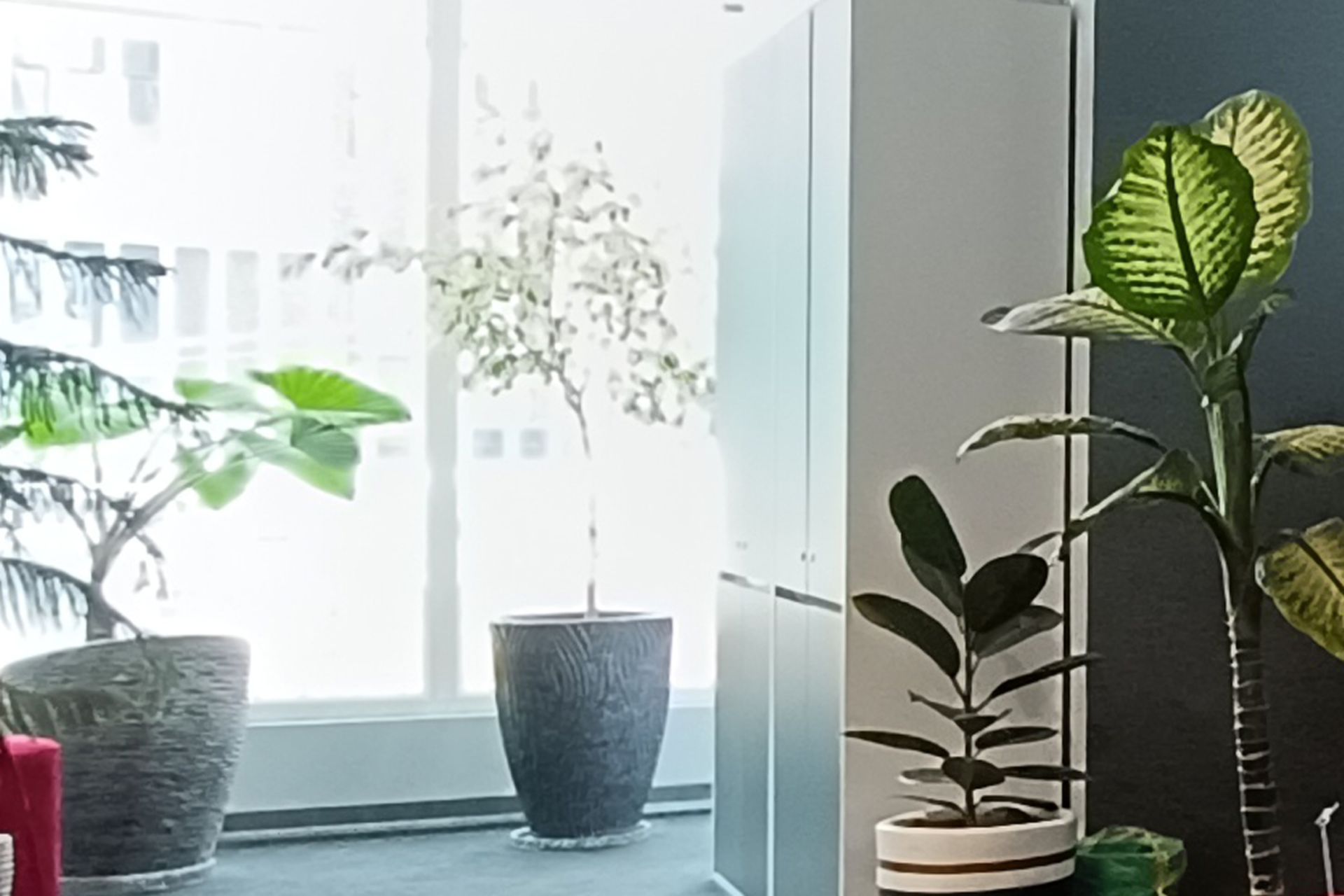 برش نمونه عکس ثبت شده با دوربین اصلی ردمی نوت ۱۲ پرو پلاس در شرایط نوری چالش‌برانگیز