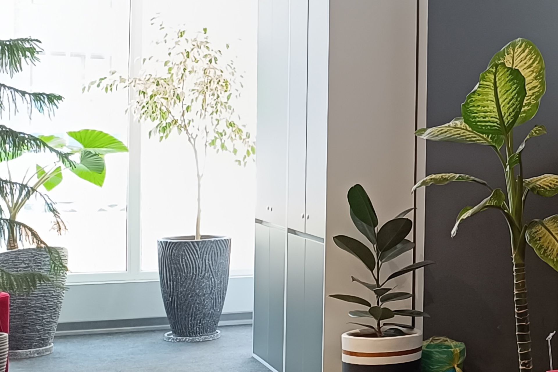 برش نمونه عکس ثبت شده با دوربین اولتراواید ردمی نوت ۱۲ پرو پلاس در شرایط نوری چالش‌برانگیز