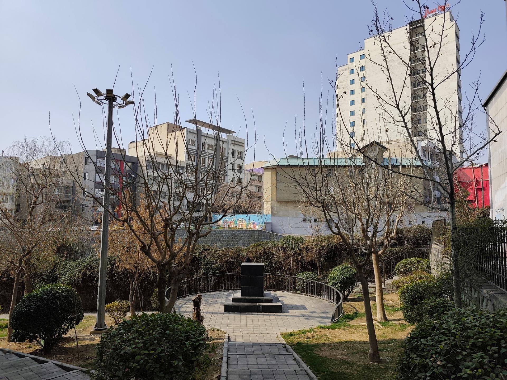 درخت ها در پارک