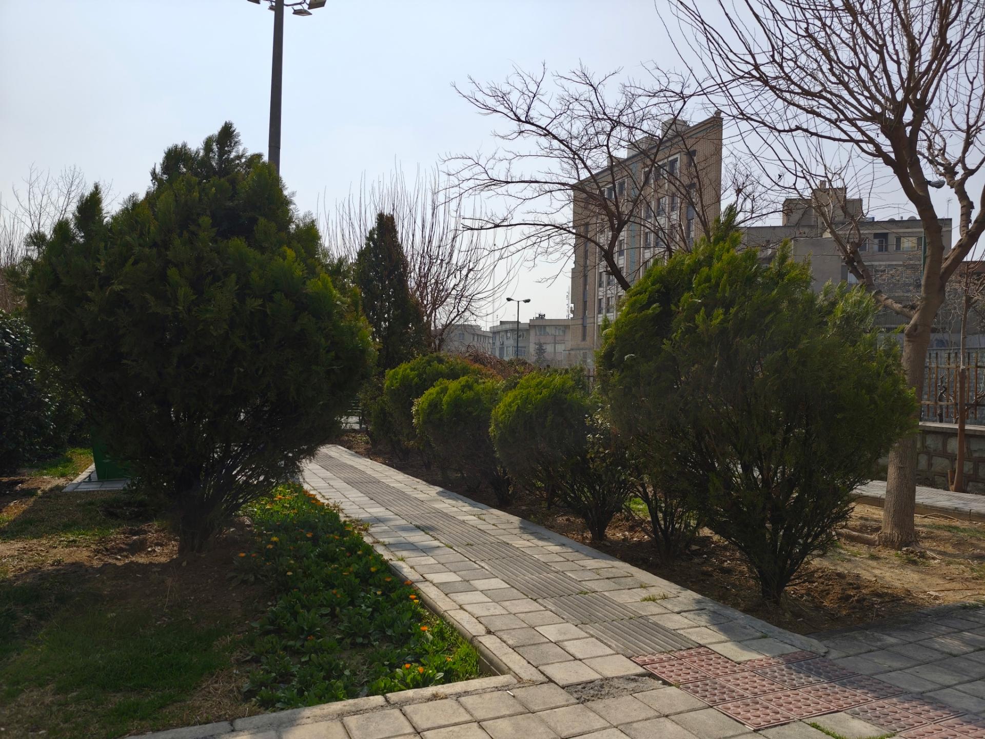 مسیر پیاده روی در پارک