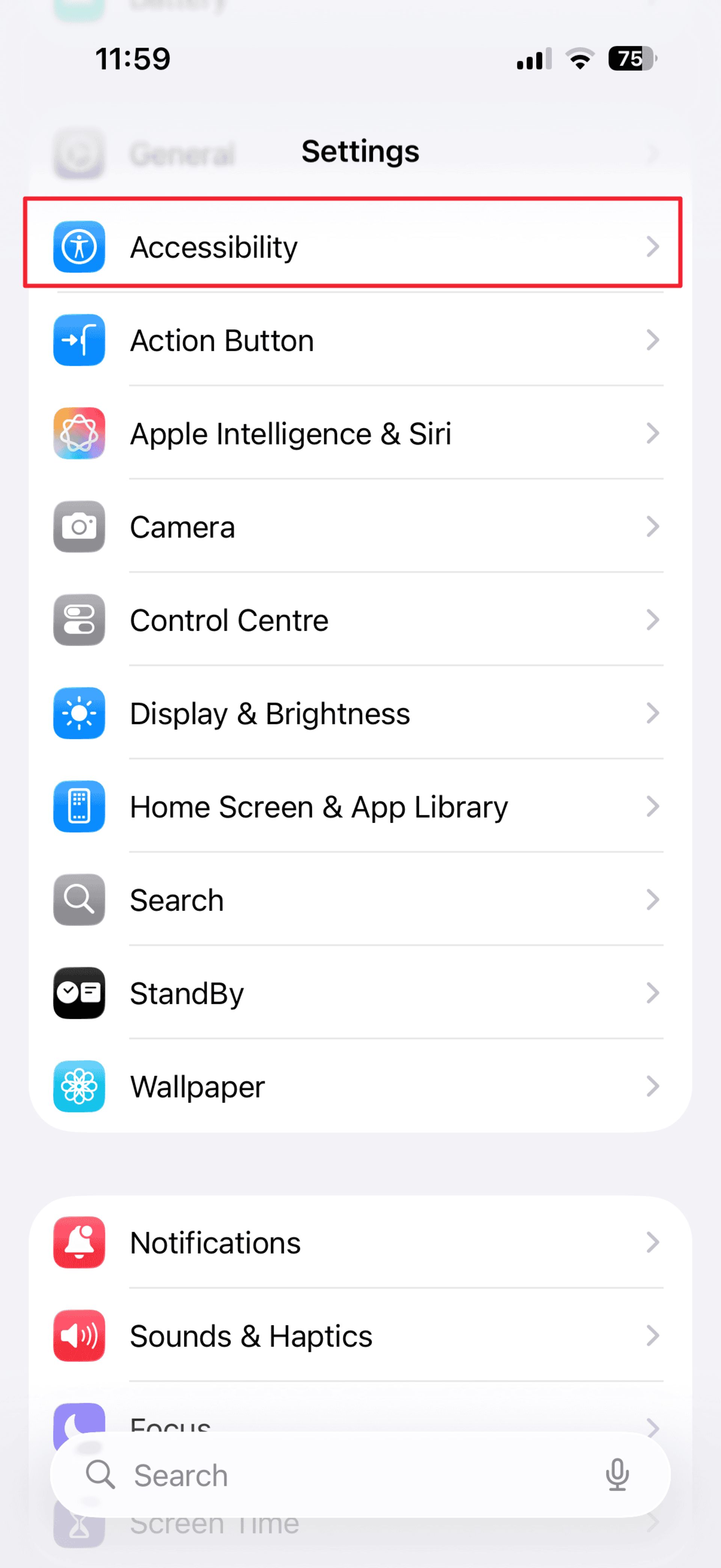 تنظیمات آیفون در حالت روشن با گزینه‌ی Accessibility هایلایت شده