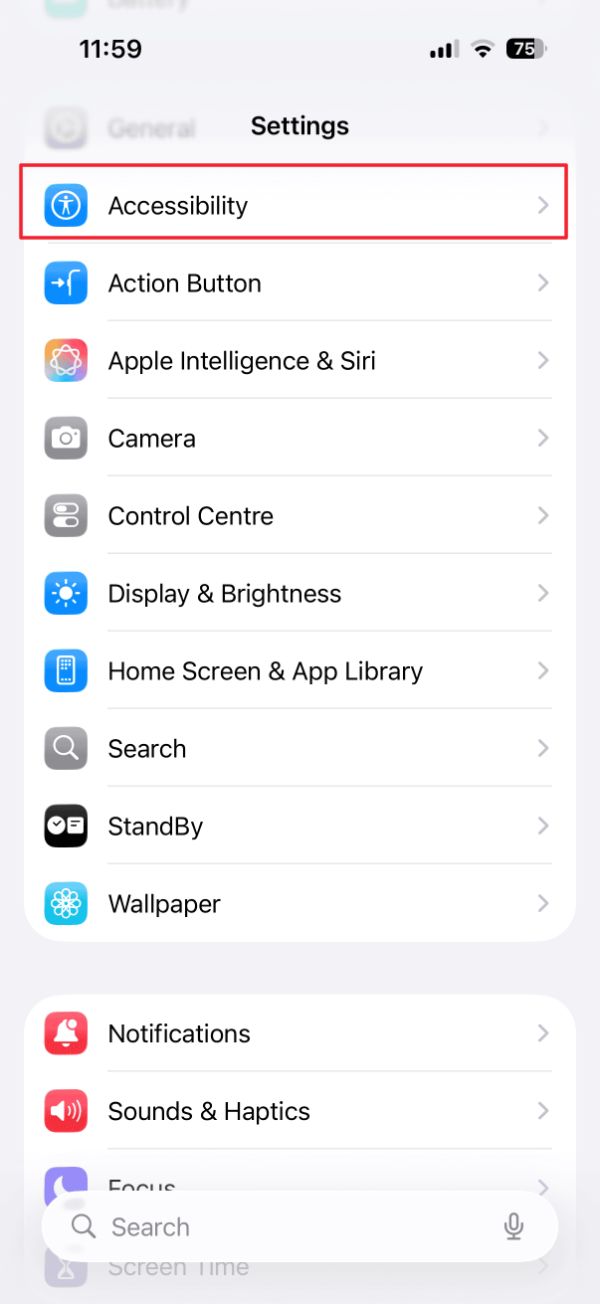 تنظیمات آیفون در حالت روشن با گزینه‌ی Accessibility هایلایت شده