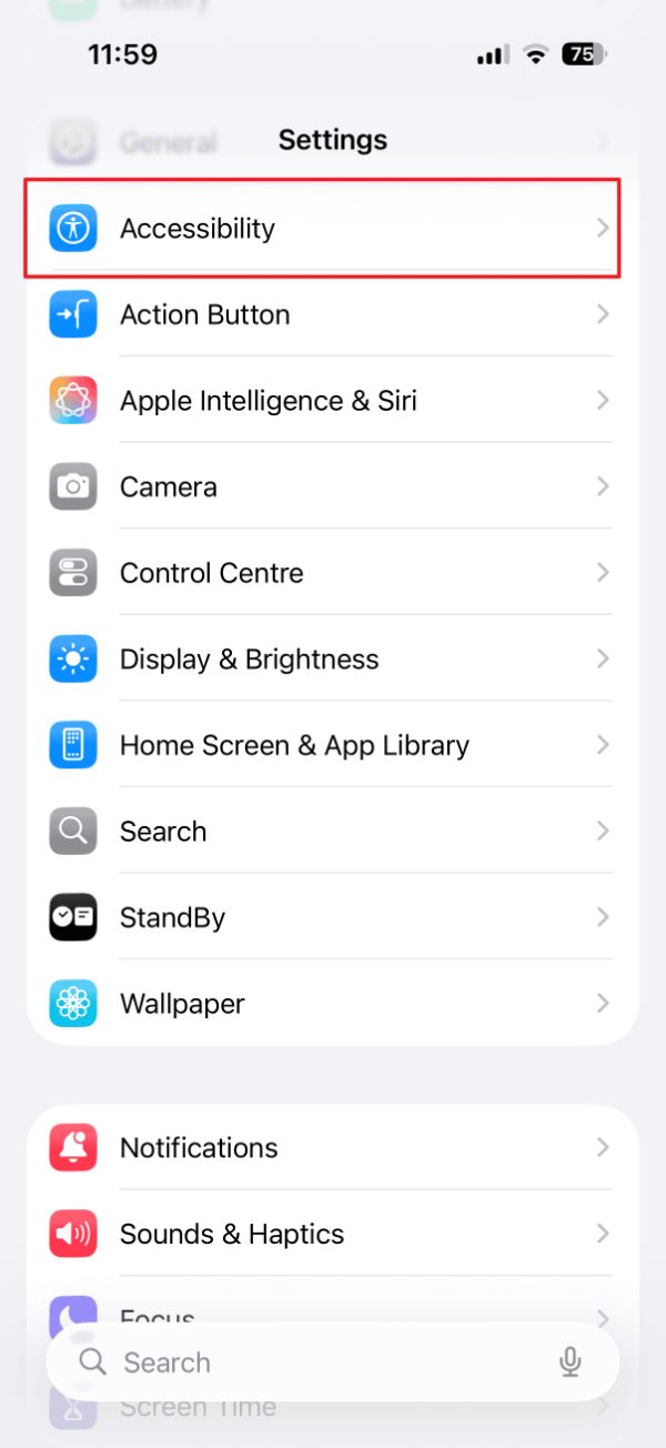 تنظیمات آیفون در حالت روشن با گزینه‌ی Accessibility هایلایت شده