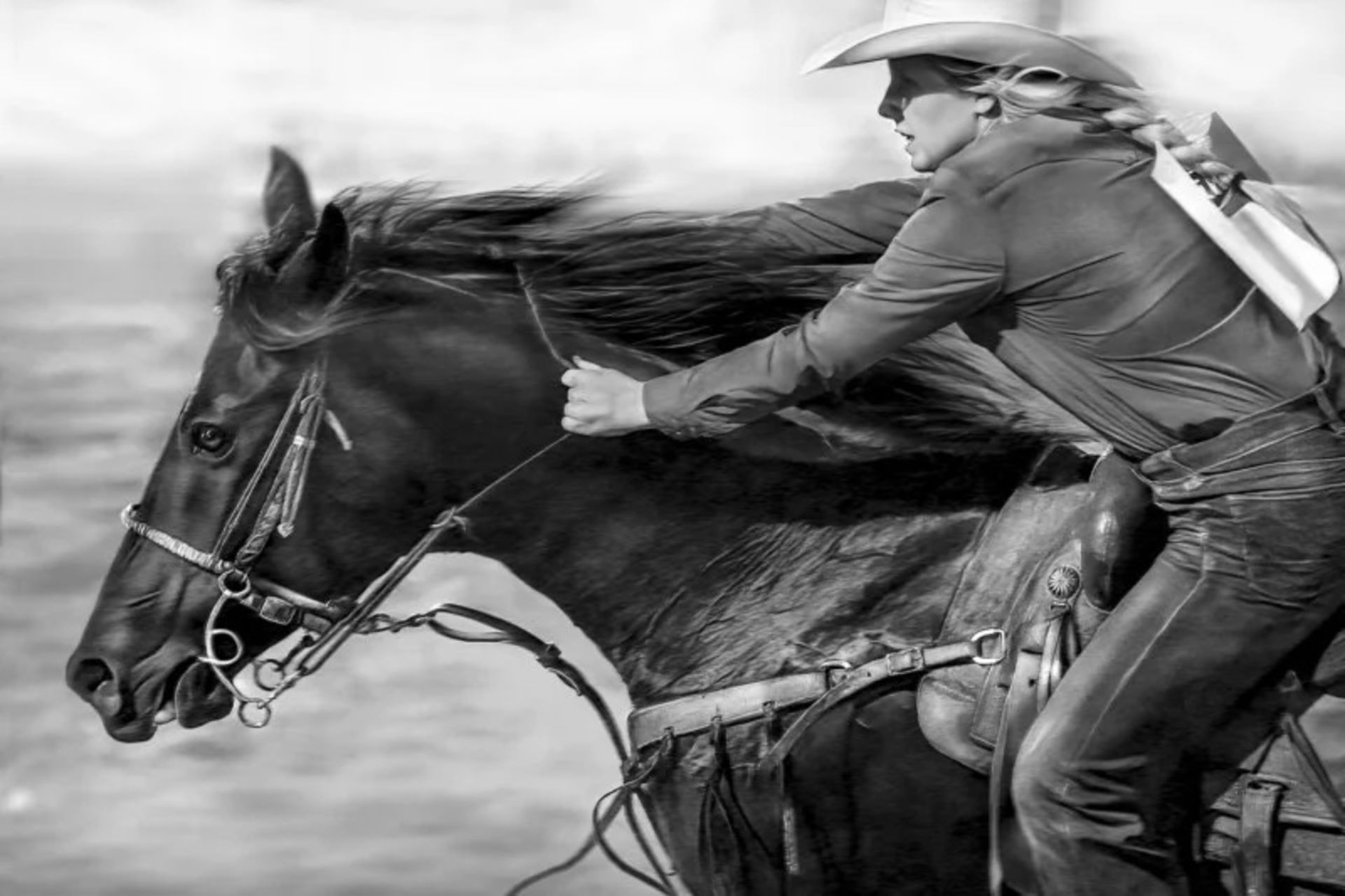 دختر در حال سوارکاری اسب مشکی